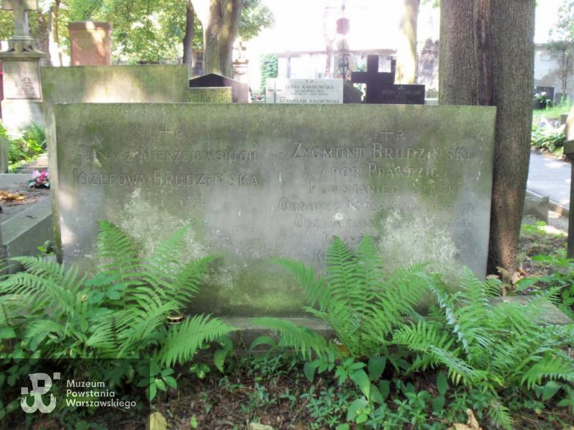 Cmentarz Powązkowski w Warszawie (Stare Powązki). Fot. Warszawskie Zabytkowe Pomniki Nagrobne:  <i>cmentarze.um.warszawa.pl</i>