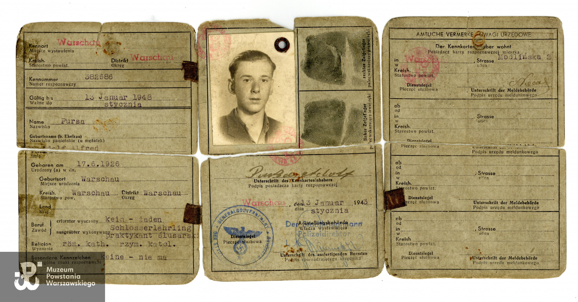 Kenkarta (karta tożsamości) wystawiona dla Adolfa Pursy w okresie okupacji niemieckiej.  Fot. ze zbiorów rodzinnych, do wykonania kopii udostępniła p. Elżbieta Wysocka, córka Powstańca. Skany wykonano w Muzeum Powstania Warszawskiego w grudniu 2023 r.  