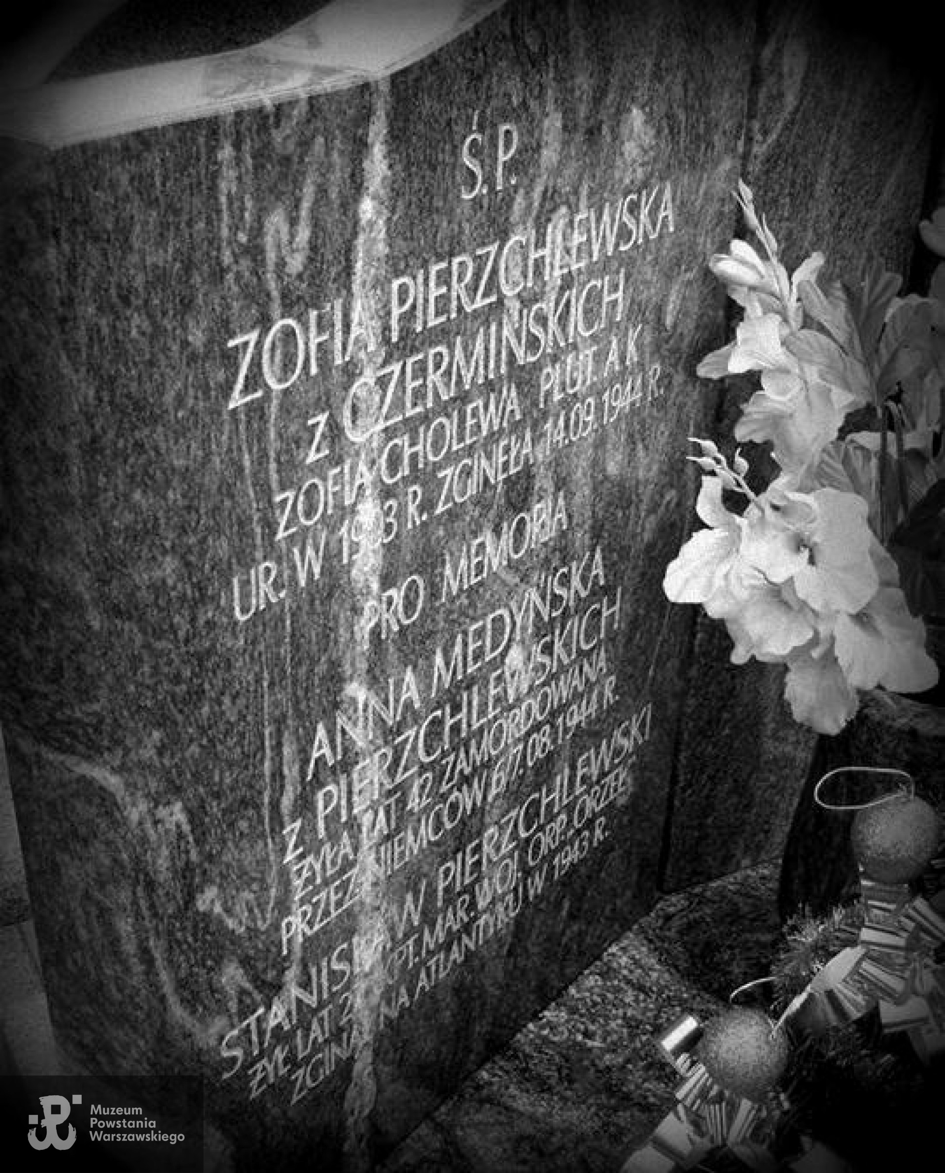 Fot. p. Beata Trzcińska