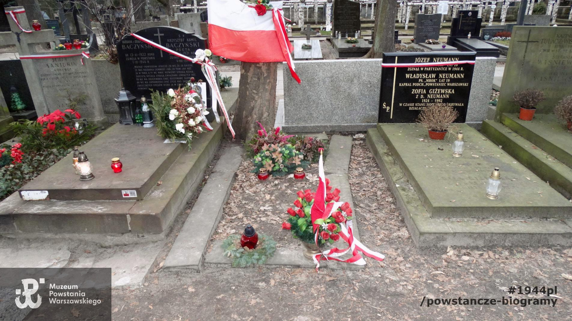 Wiosna 2019 roku - stan przed renowacją. Fot. udostępnił p. Remigiusz Stefani