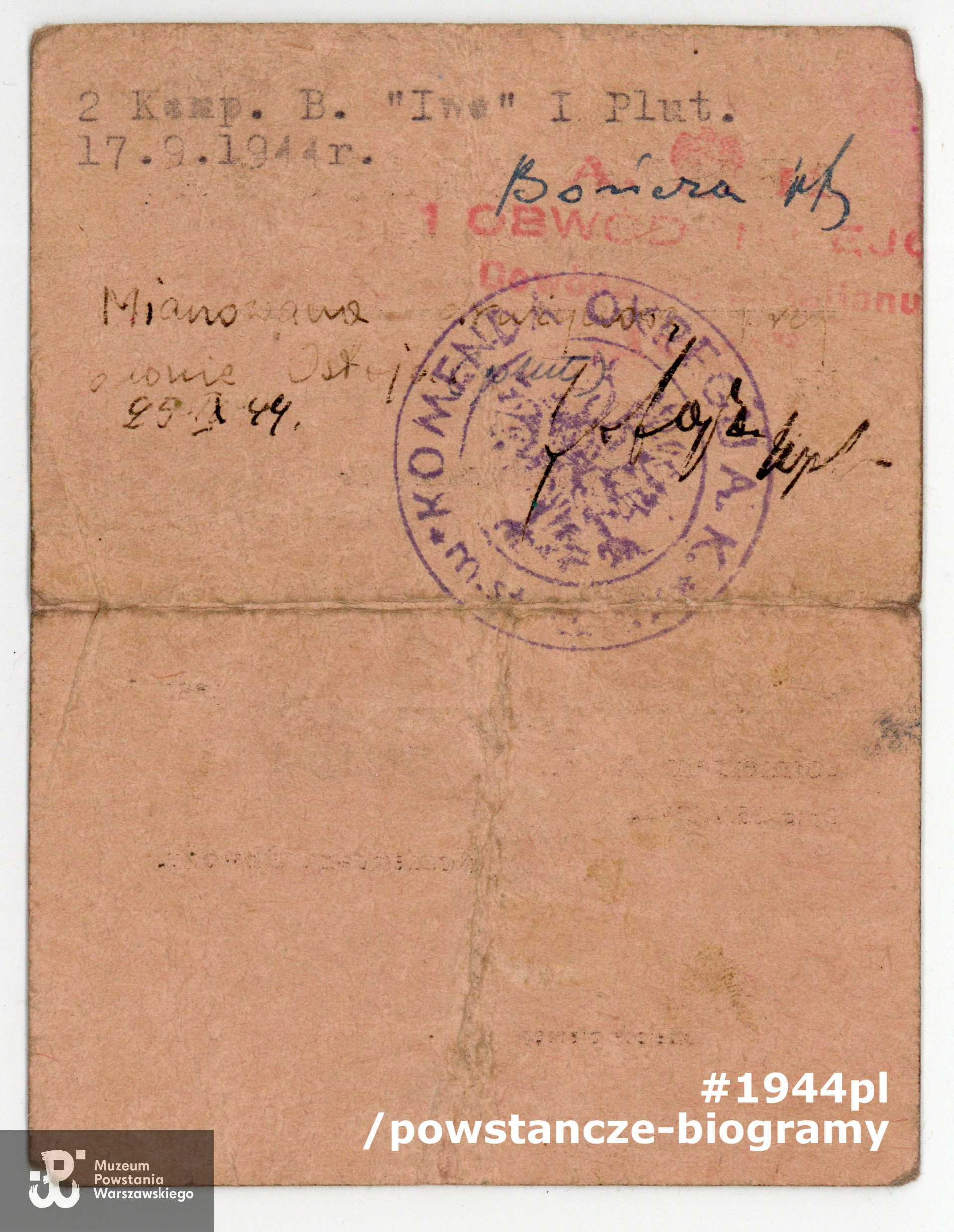 Należąca do Marii Falkiewicz ps. "Gerard" legitymacja żołnierza Armii Krajowej. Dokument ze zbiorów rodzinnych p. Jerzego Sajdaka, syna.
 