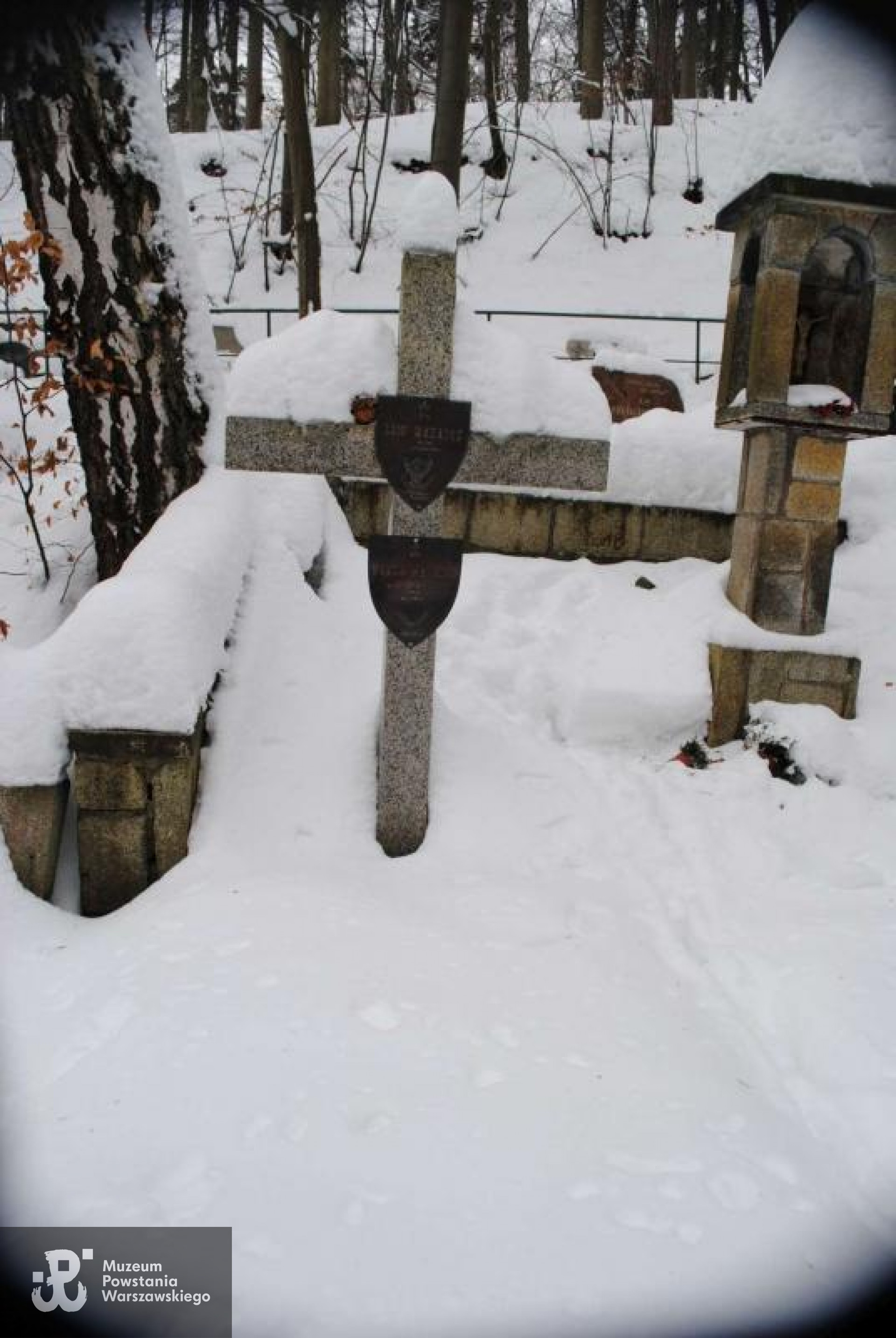 Gdynia, Cmentarz Witomiński. Źródło: nieobecni.com