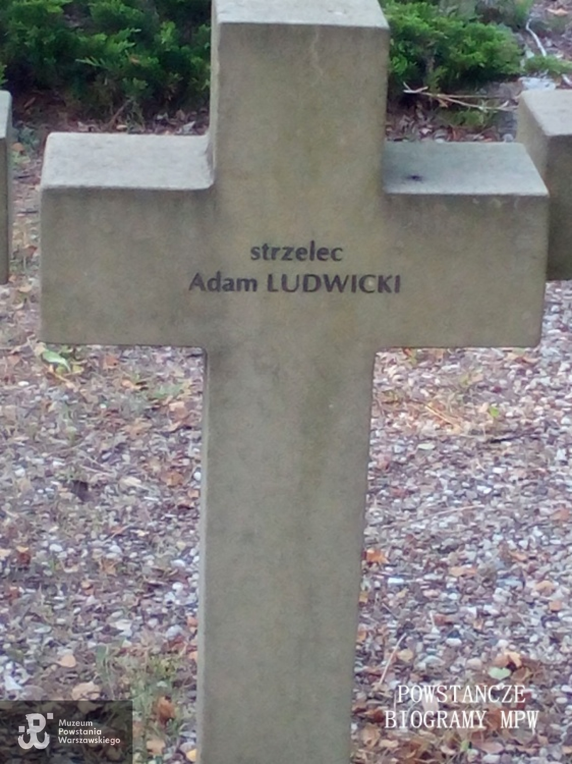 Mogiła na Cmentarzu Wojennym w Budach Zosinych. Fot. Mariusz Skroński