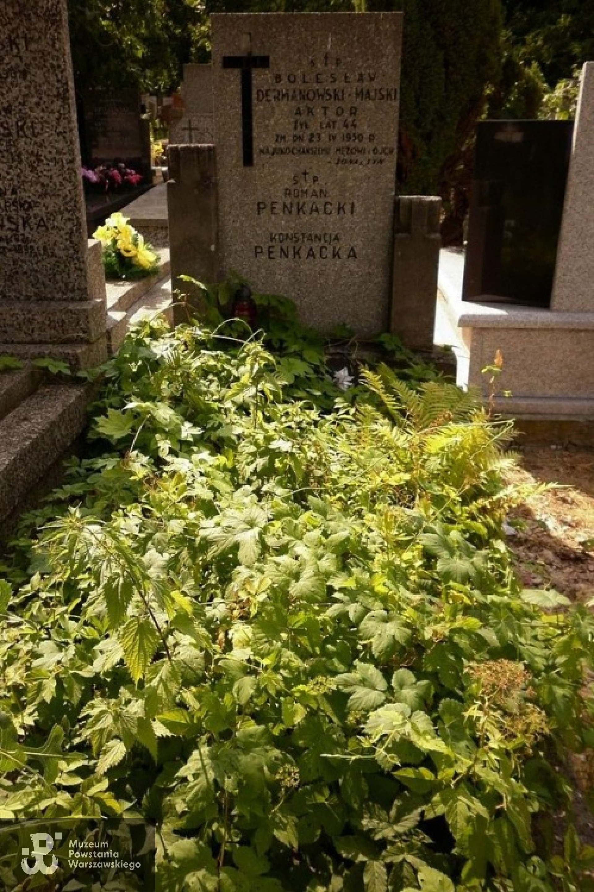 Mogiła aktora na Cmentarzu Bródnowskim w Warszawie. Źródło fot. <i>Wikipedia; CC BY-SA 3.0</i>