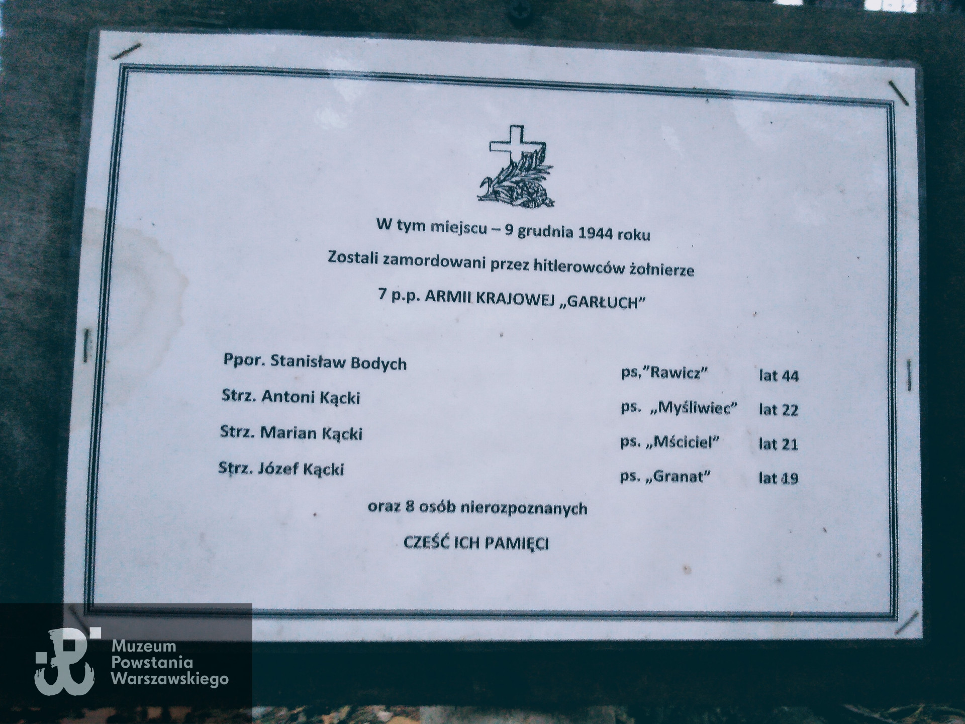 Las Sękociński, miejsce egzekucji ppor. Stanisława Bodycha ps. Rawicz,  strz. Antoniego Kąckiego ps. Myśliwiec, strz. Mariana Kąckiego ps. Mściciel,  strz. Józefa Kąckiego ps. Granat i 8 innych nierozpoznanych osób. Fot. udostępnił p. Tomasz Bodych, wnuk ppor. Stanisława Bodycha ps. Rawicz