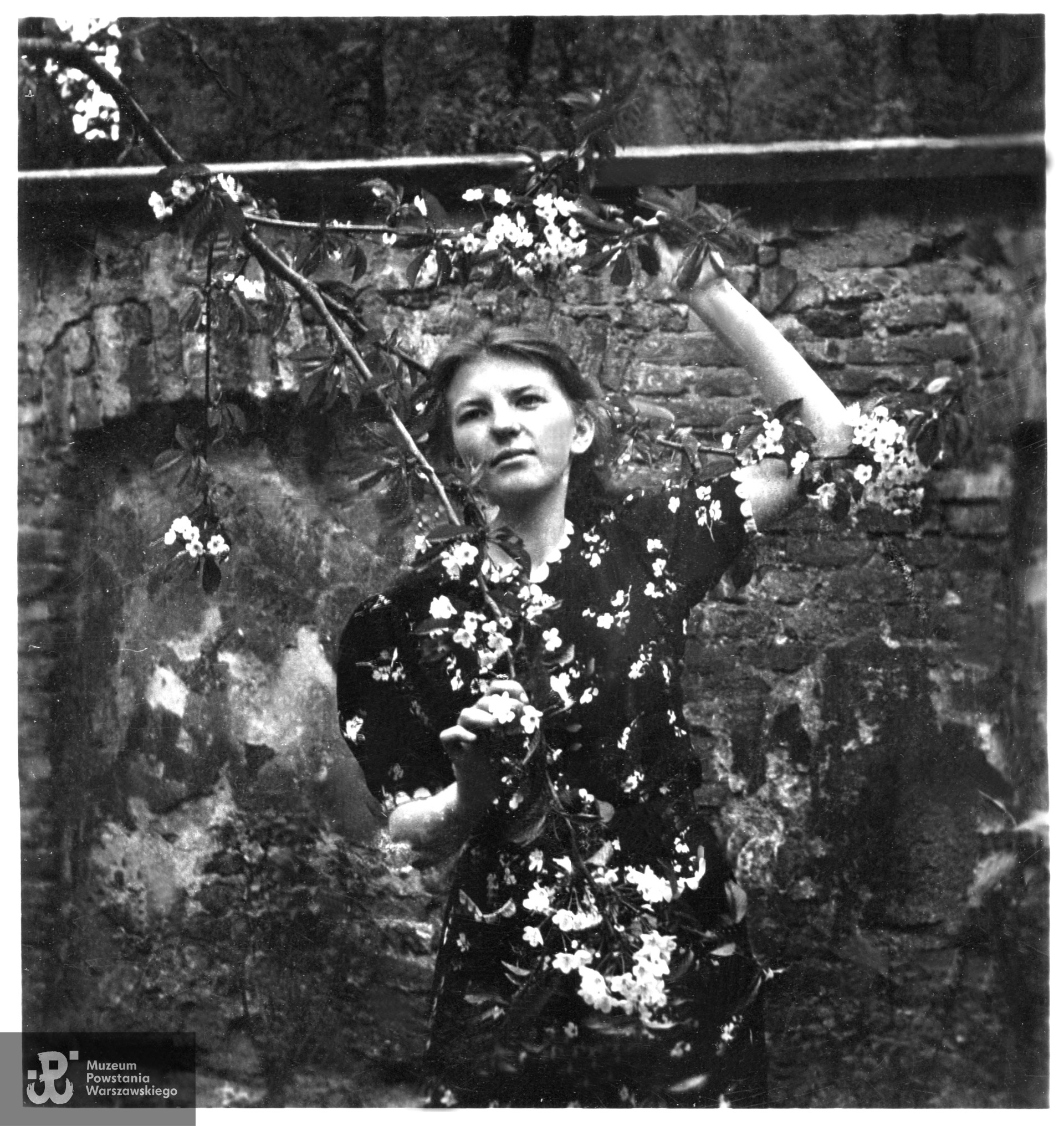 Teresa Ekner, 1943 rok.  Fot. ze zbiorów rodzinnych p. Teresy Ekner - Jodkowskiej. Skan wykonano w Dziale Kombatanta  Muzeum Powstania Warszawskiego