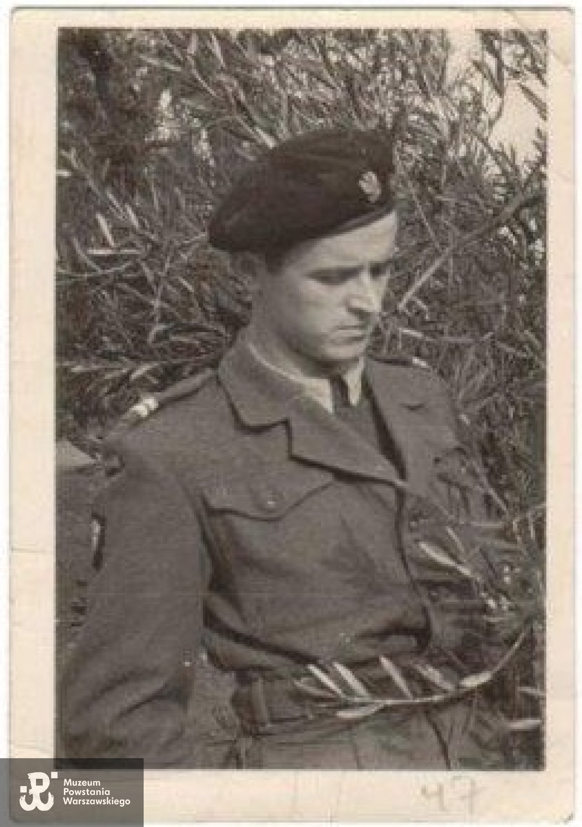 Fot. udostępnił Przemysław Czarnocki