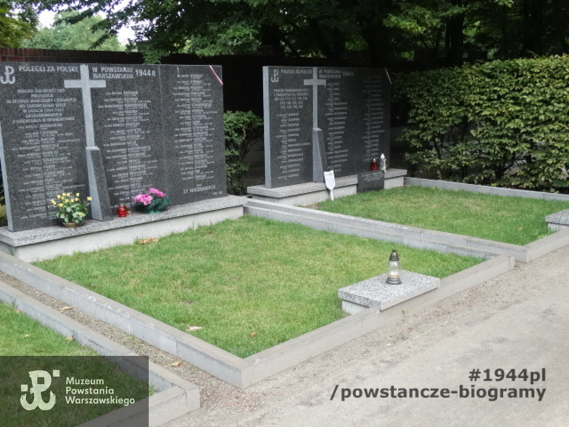 Cmentarz  Powstańców Warszawy (kw.158). Fot. Remigiusz Stefani