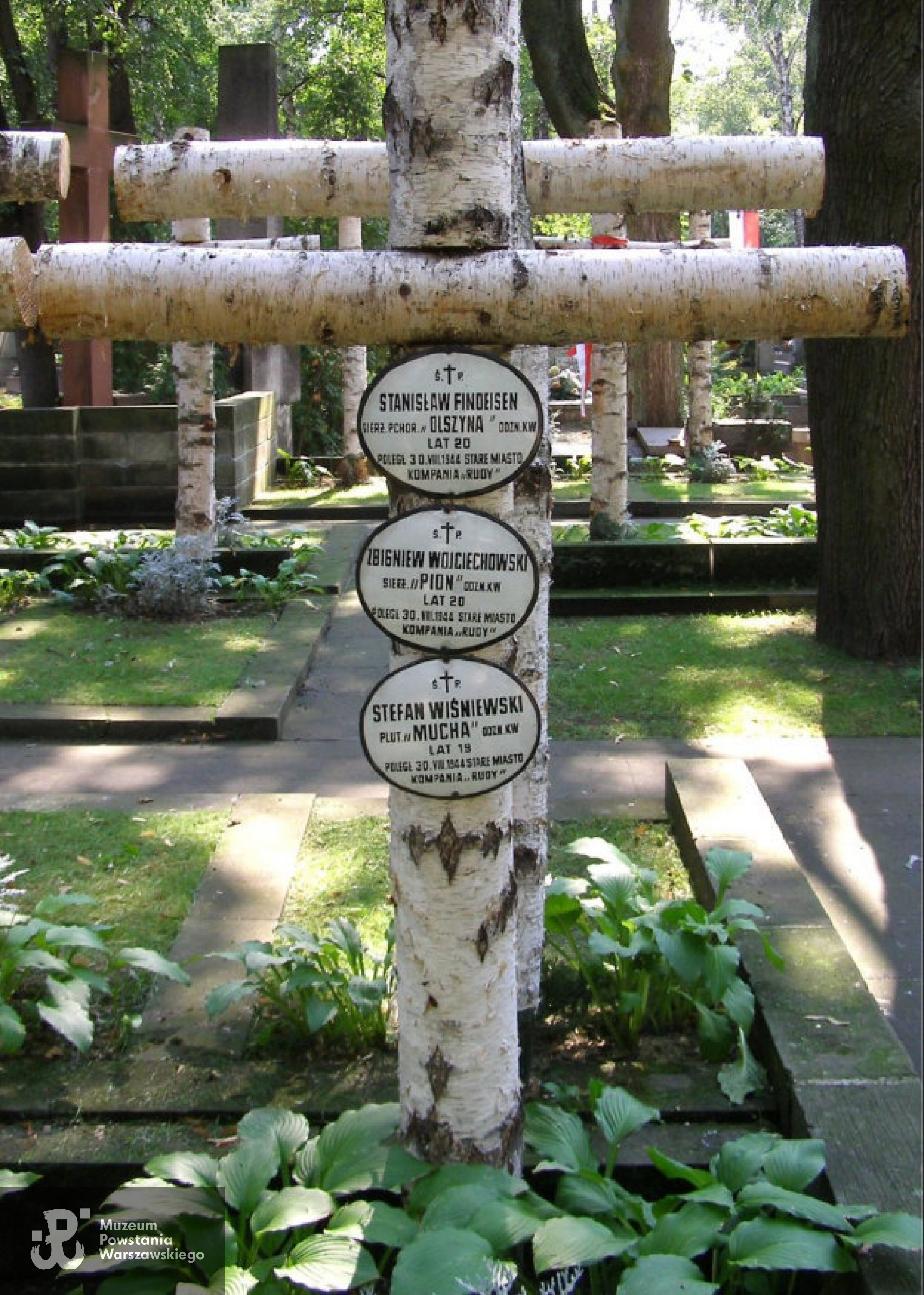 Powązki Wojskowe - kwatera poległych żołnierzy Batalionu "Zośka". Fot. Wikipedia/domena publiczna