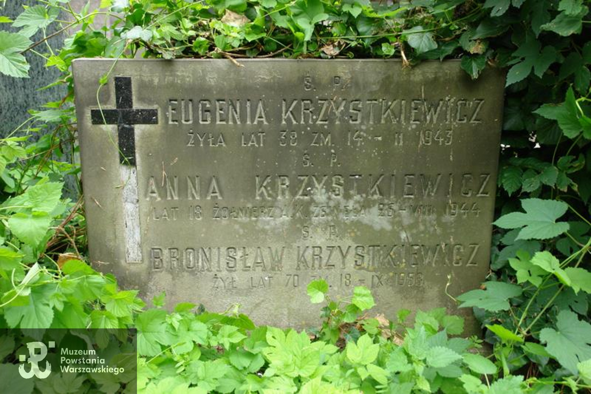 Fot. Warszawskie Zabytkowe Pomniki Nagrobne:  <i>cmentarze.um.warszawa.pl</i>