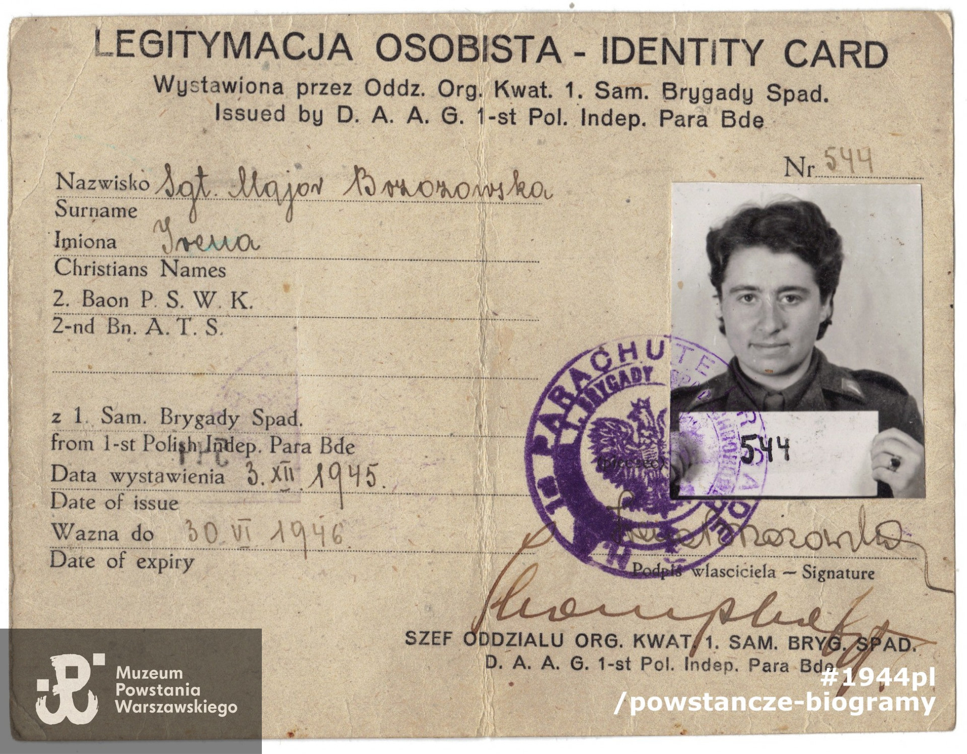 Legitymacja 1. Samodzielnej Brygady Spadochronowej. Ze zbiorów  rodzinnych. Skan udostępnił p. Robert Pawlikowski