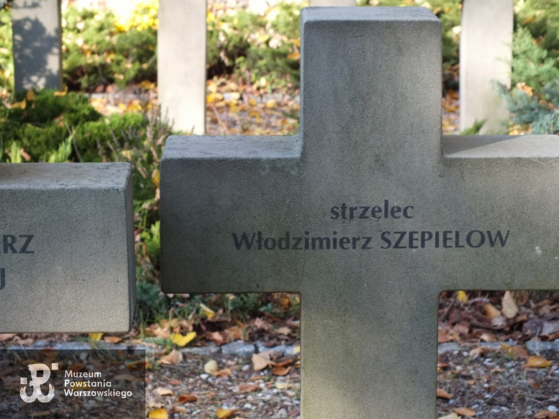 Cmentarz Wojenny w Budach Zosinych koło Jaktorowa