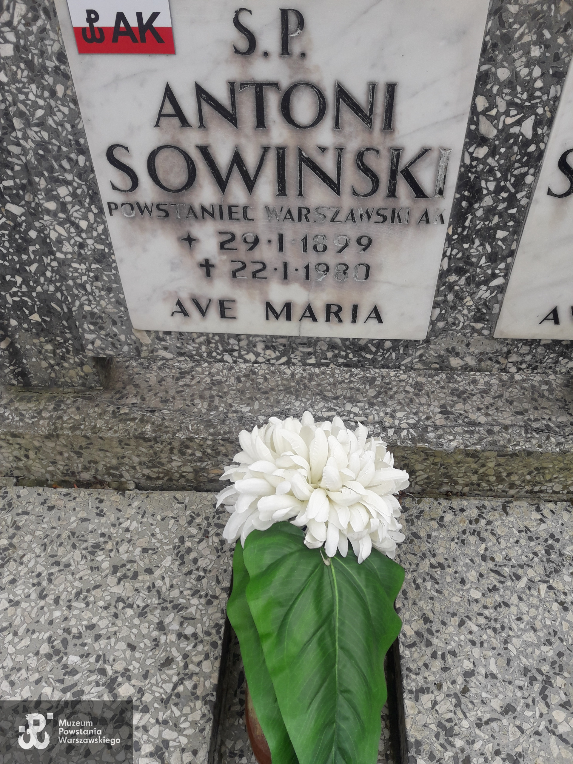 Fot. archiwum rodzinne  - zdjęcie mogiły udostępnił p. Bo Suchodolski, wnuk Powstańca