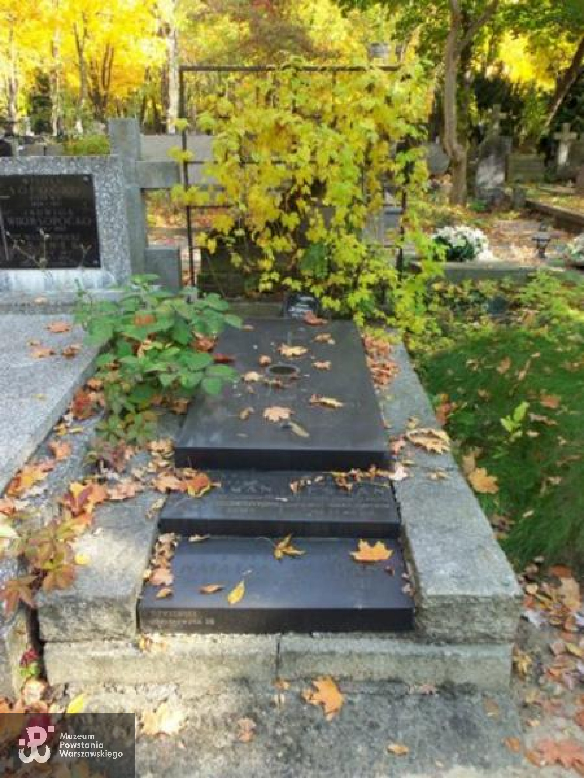 Cmentarz Powązkowski w Warszawie, kwatera 102, rząd 2, grób 11 - miejsce pochowania Zofii (1957) i Natalii Jeśman z Ottowiczów (1997) oraz symbolicznego upamiętnienia Czesława i Bohdana Jeśmanów, których ciał nie odnaleziono. Fot. Warszawskie Zabytkowe Pomniki Nagrobne:  <i>cmentarze.um.warszawa.pl</i>