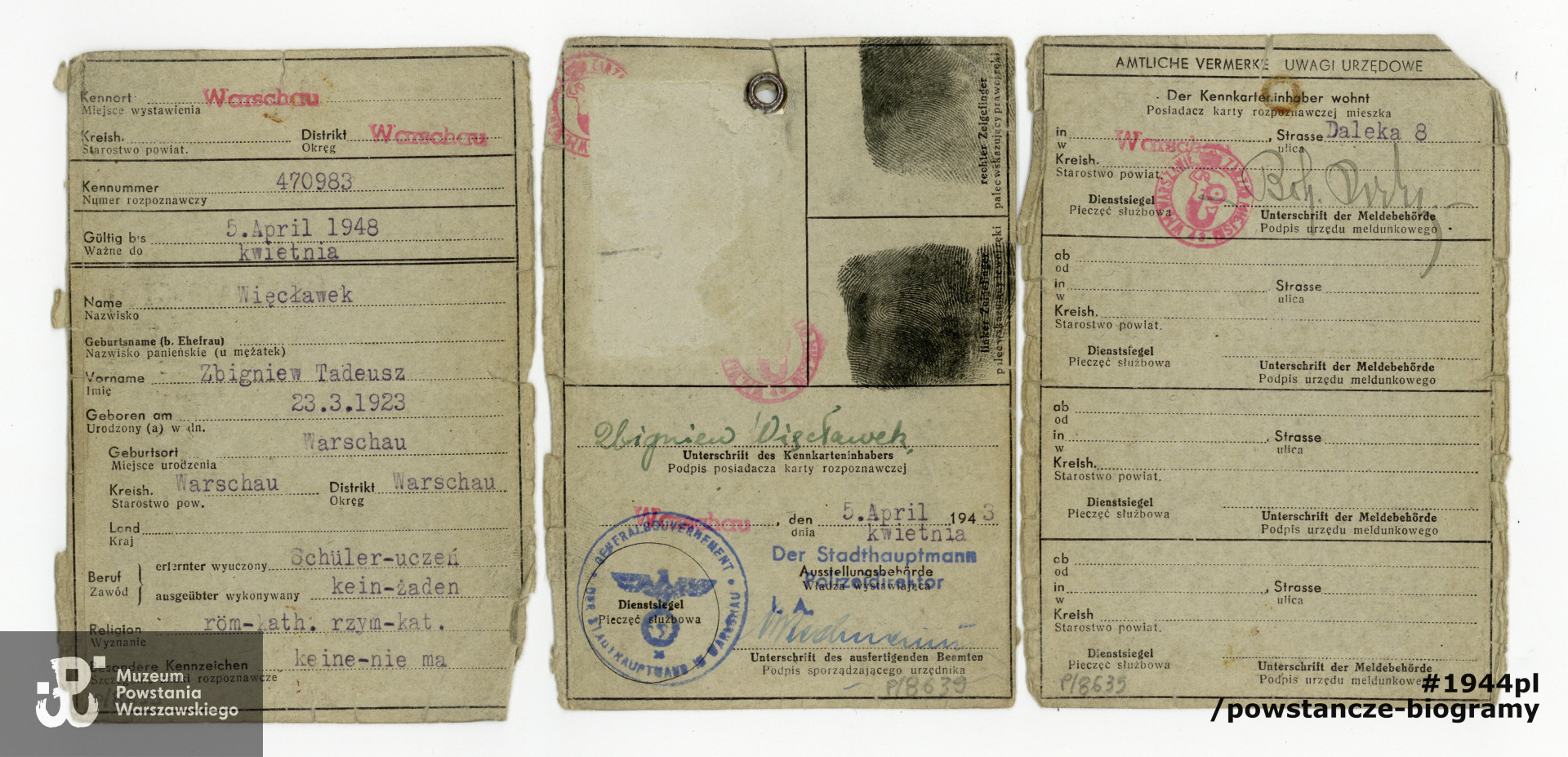 Okupacyjna Kennkarta wystawiona na nazwisko Zbigniew Tadeusz Więcławek. Dokument pozbawiony zdjęcia. Ze zbiorów Muzeum Powstania Warszawskiego, sygn. P/8639, dar p. Hanny Więcławek-Wassermann i p. Bożenny Więcławek - Szyszko, córek Zbigniewa Więcławka.