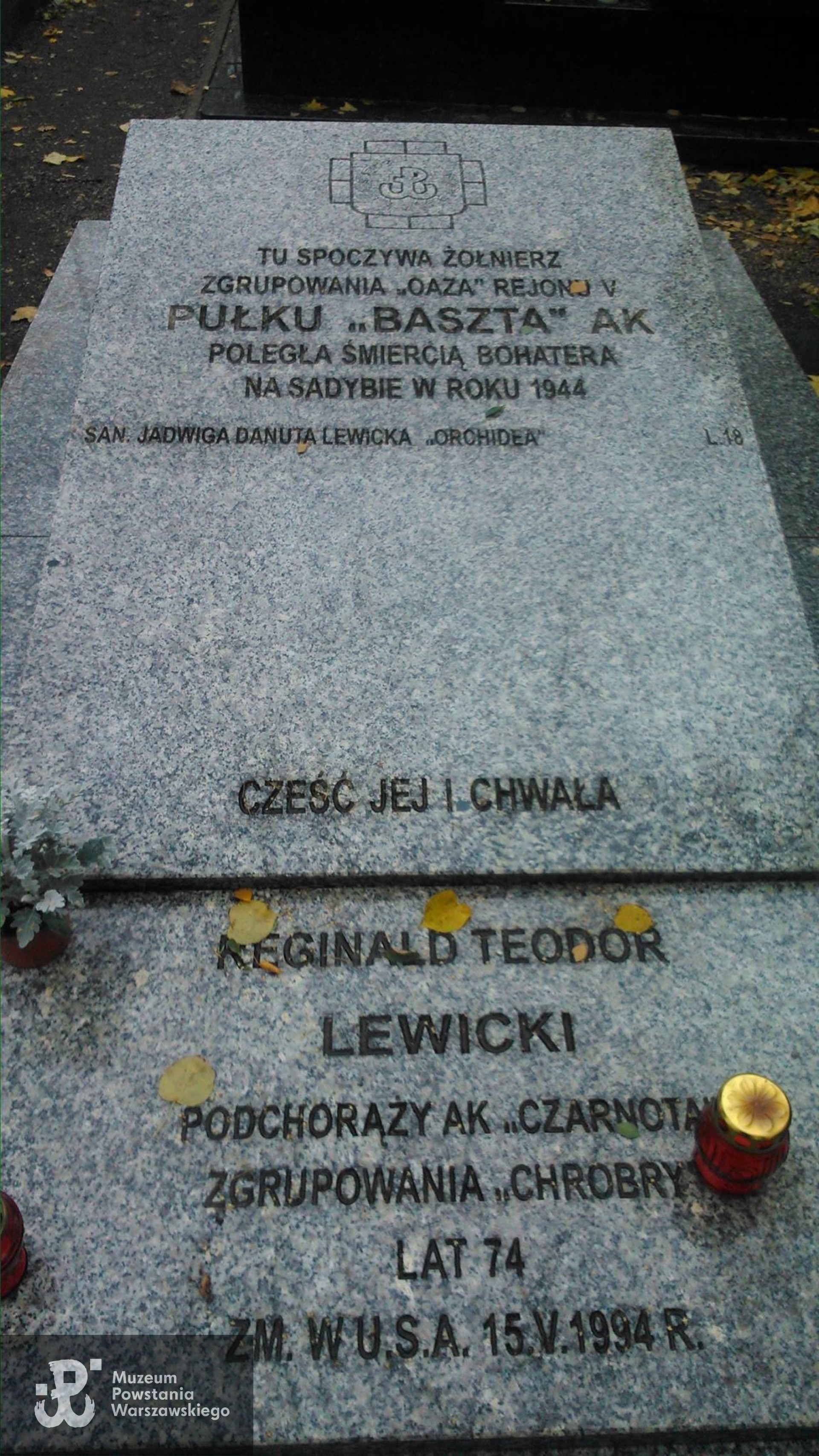 Cmentarz w Wilanowie, kwatera Pułku AK „Baszta”, zgrupowanie „Oaza". Fot. udostępniła p. Beata Trzcińska