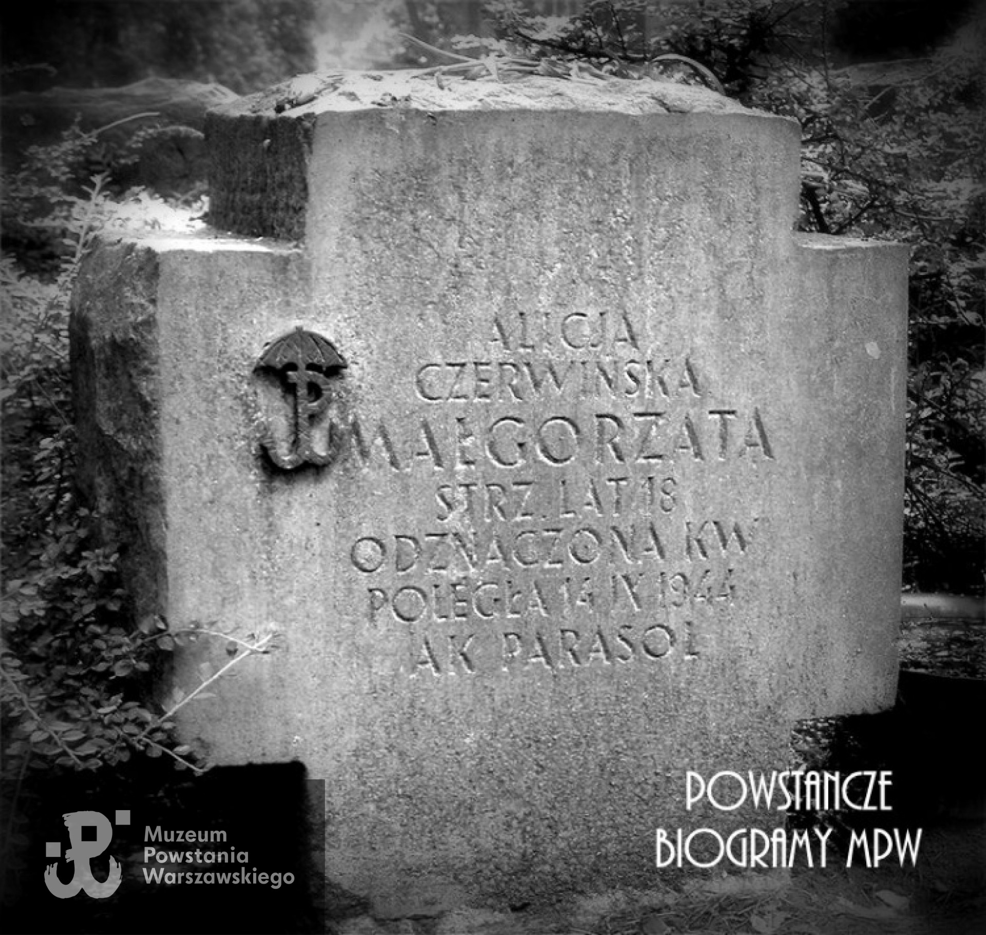 Fot. udostępnione przez Magdalenę Ciok