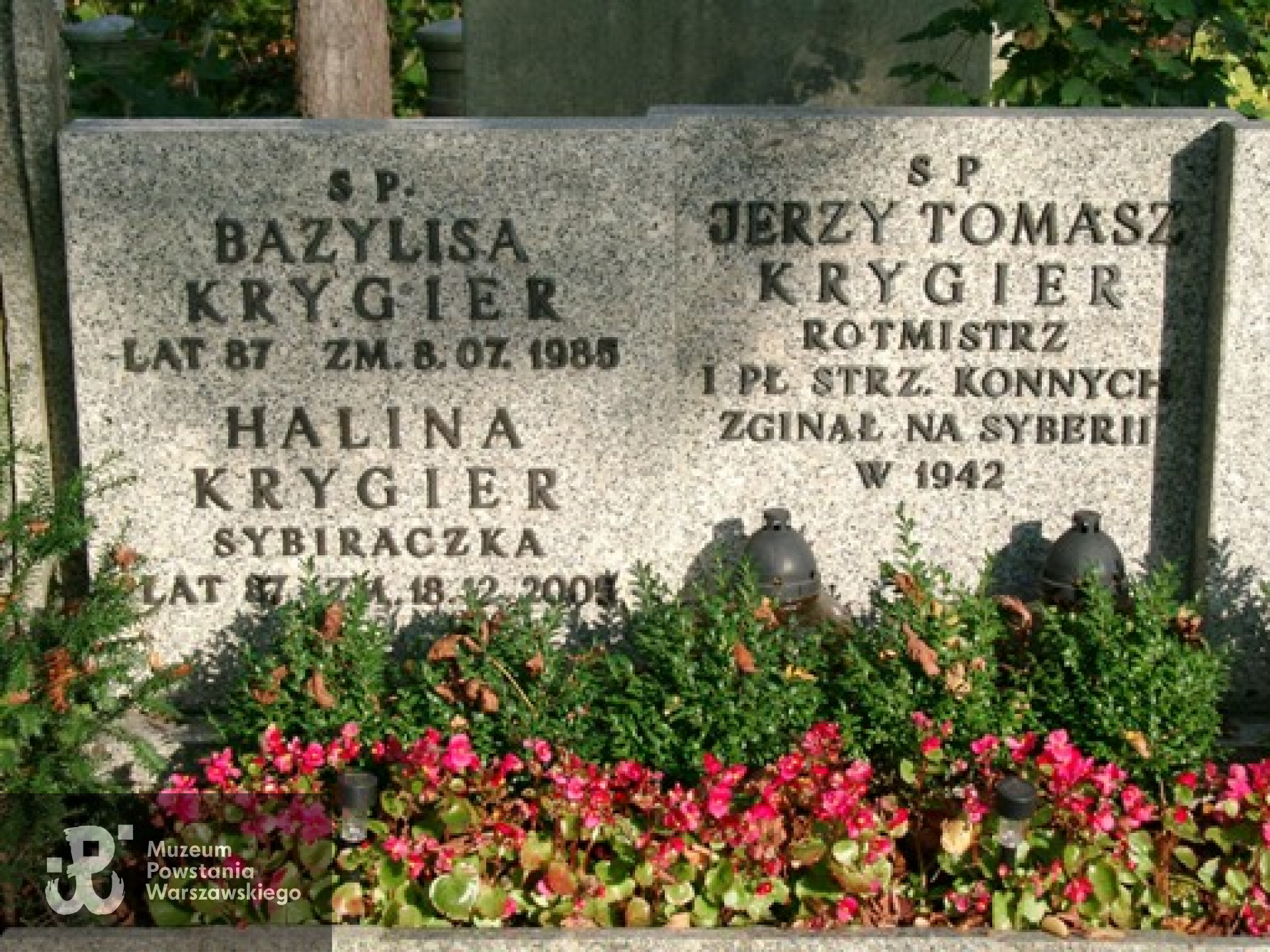 Cmentarz Ewangelicko-Augsburski w Warszawie przy ul. Młynarskiej 54/56/58,  Aleja 26, rząd 1, miejsce 31 - grób rodziny Krygier, źr. Grobonet