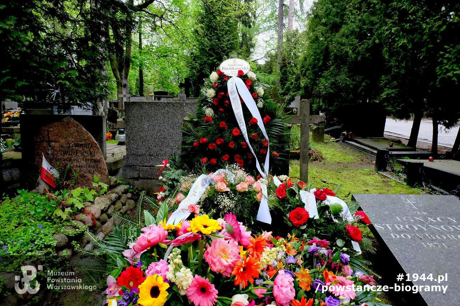 Mogiła  na Cmentarzu Wojskowym na Powązkach w Warszawie, kw. A 18; rząd: 6, grób: 4. Fot. Mateusz Opasiński, źródło Wikimedia Commons - domena publiczna.