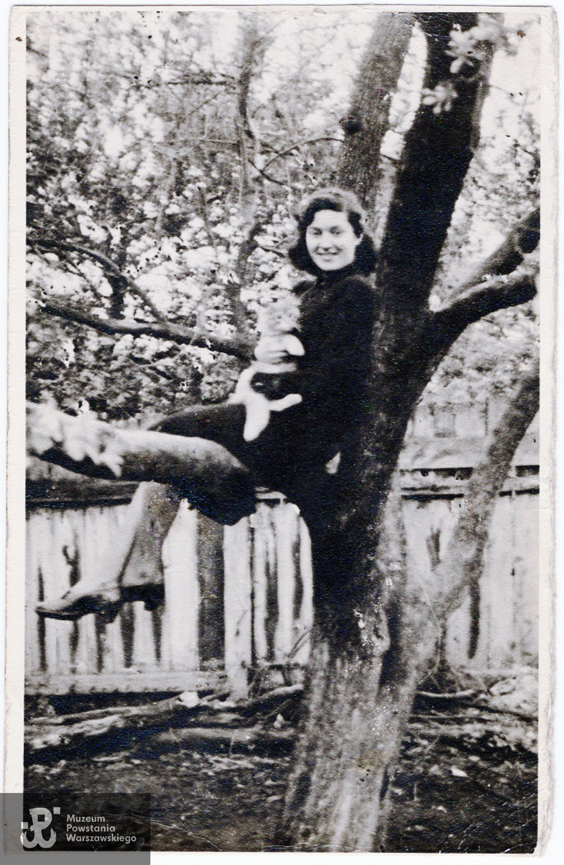 Fot. ze zbiorów rodzinnych, skany wykonano w Pokoju Kombatanta MPW, 2023
