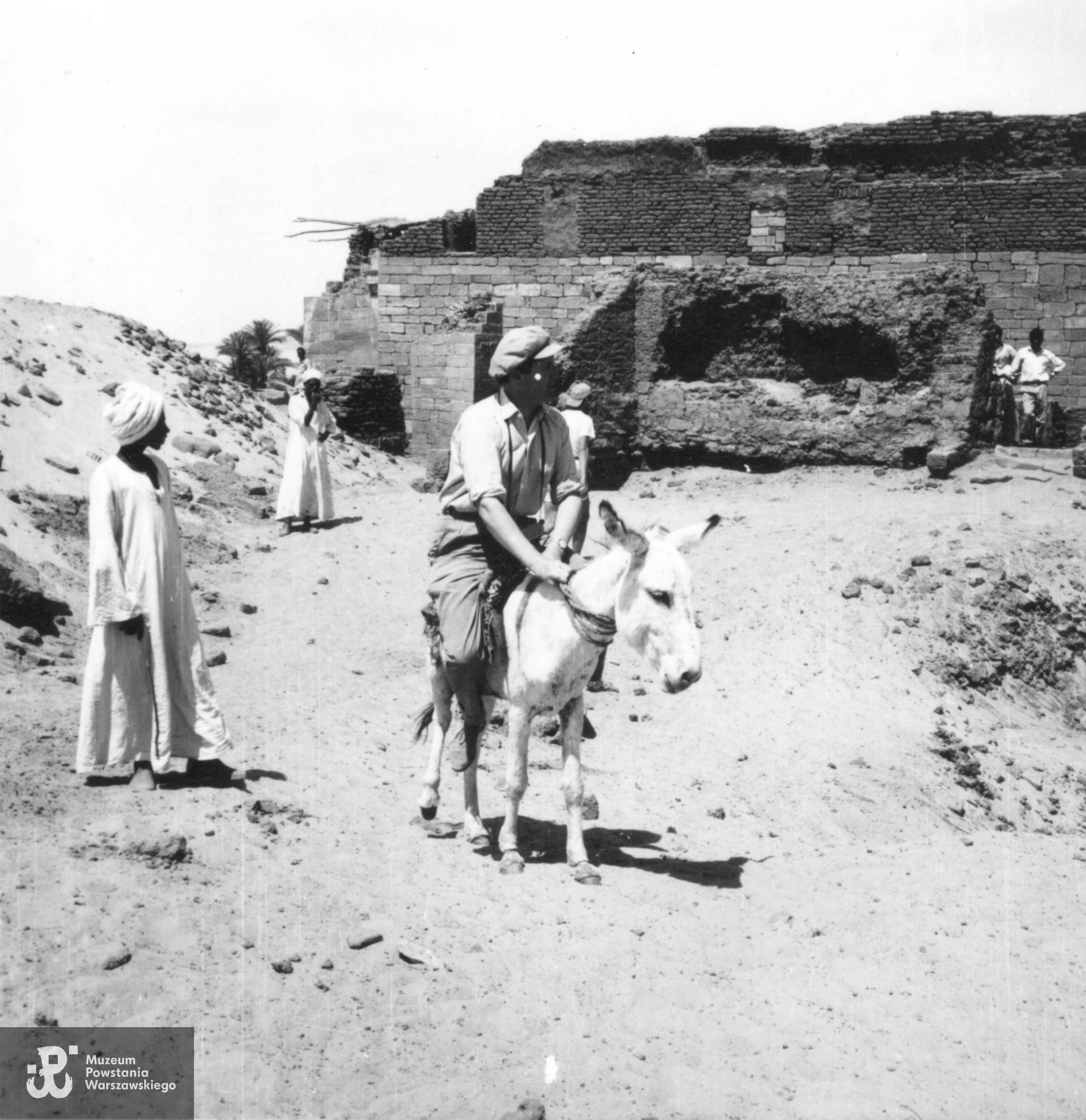 Profesor T. Dzierżykray-Rogalski jadący na ośle podczas ekspedycji archeologicznej przed murami katedry w Faras, 1963, źr. Doktorzy Honoris Causa Uniwersytetu Medycznego w Białymstoku 1950–2013, red. L. Chyczewski, M. Grassmann i in., Białystok 2013, s. 77