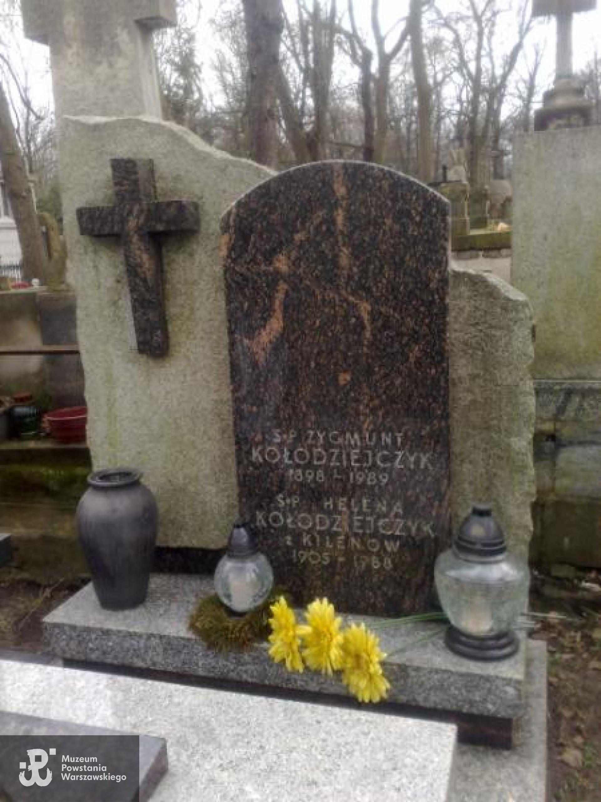 Cmentarz Powązkowski w Warszawie (Stare Powązki), kwatera 175, rząd 5, miejsce 15