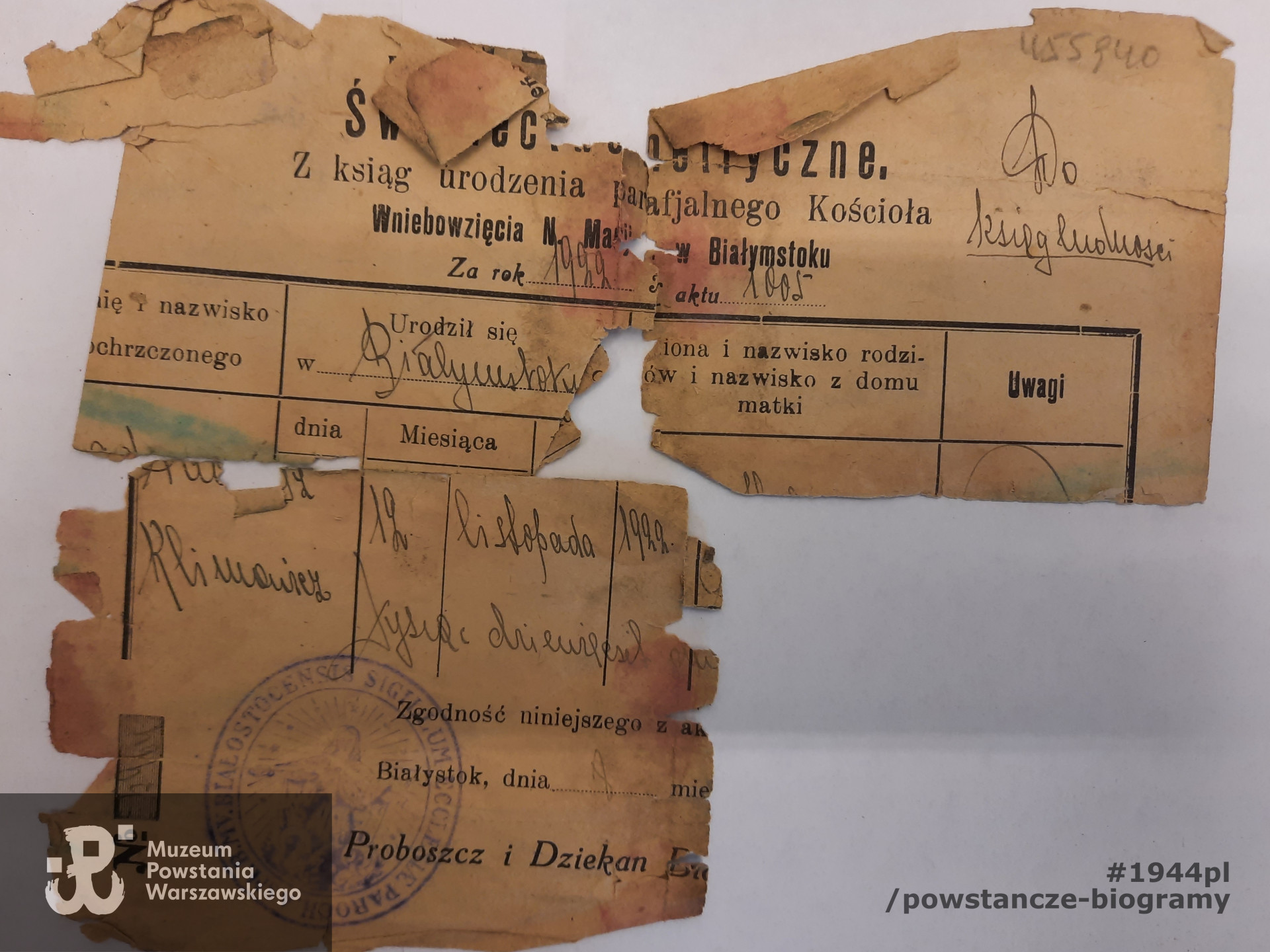 Świadectwo urodzenia wystawione z ksiąg parafialnych na nazwisko Tadeusz Klimowcz. Dokument w trzech fragmentach, częściowo niezachowany. Ze zbiorów Muzeum Powstania Warszawskiego, sygn. P/9581/21
