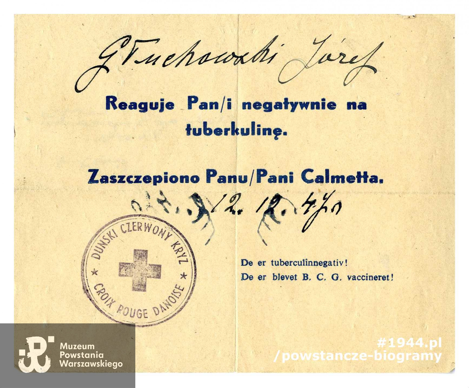 Ze zbiorów Muzeum Powstania Warszawskiego, sygn. P/6011