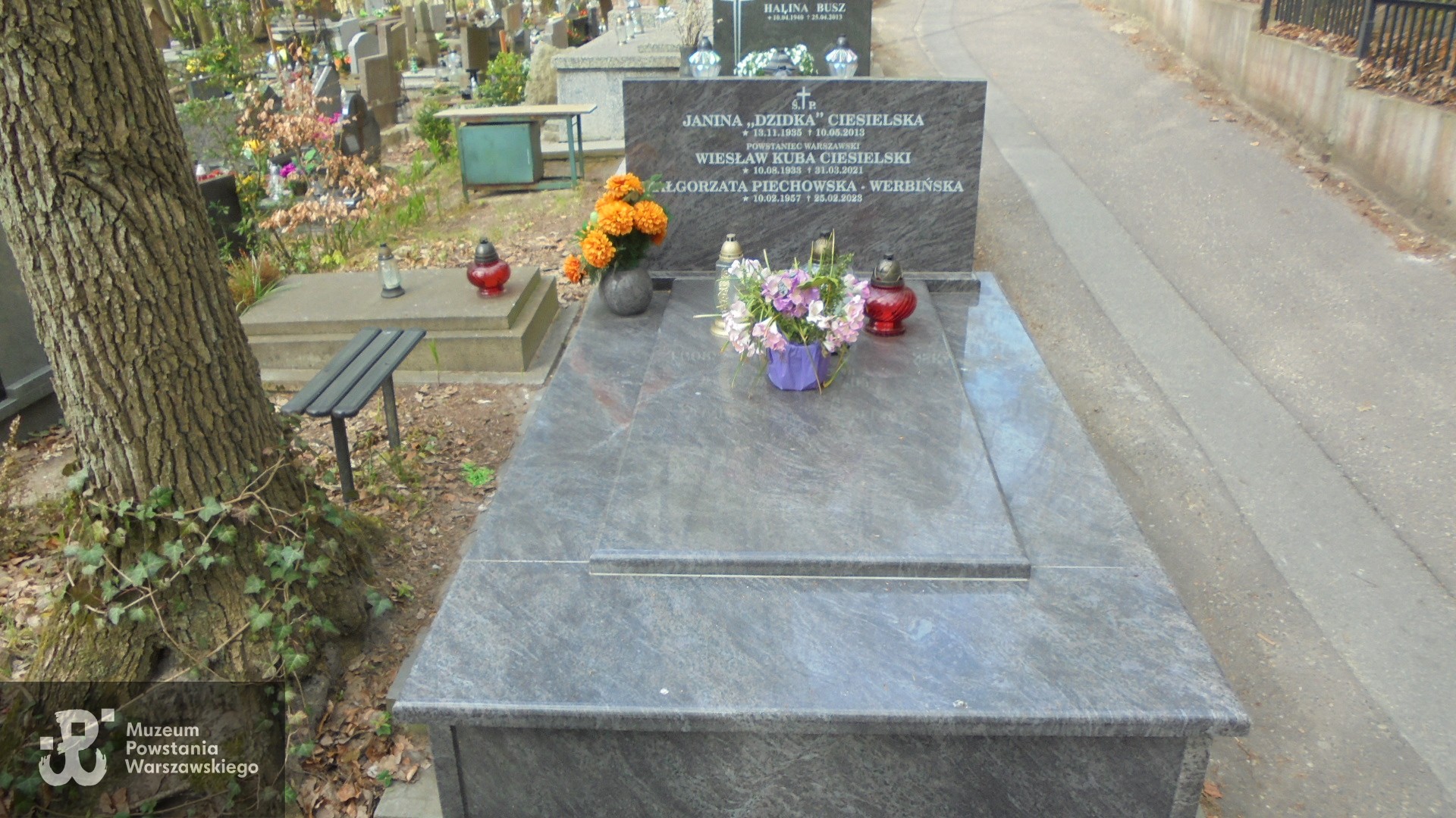 Gdynia, Cmentarz Witomiński, Sektor 2, rząd 17, grób 11