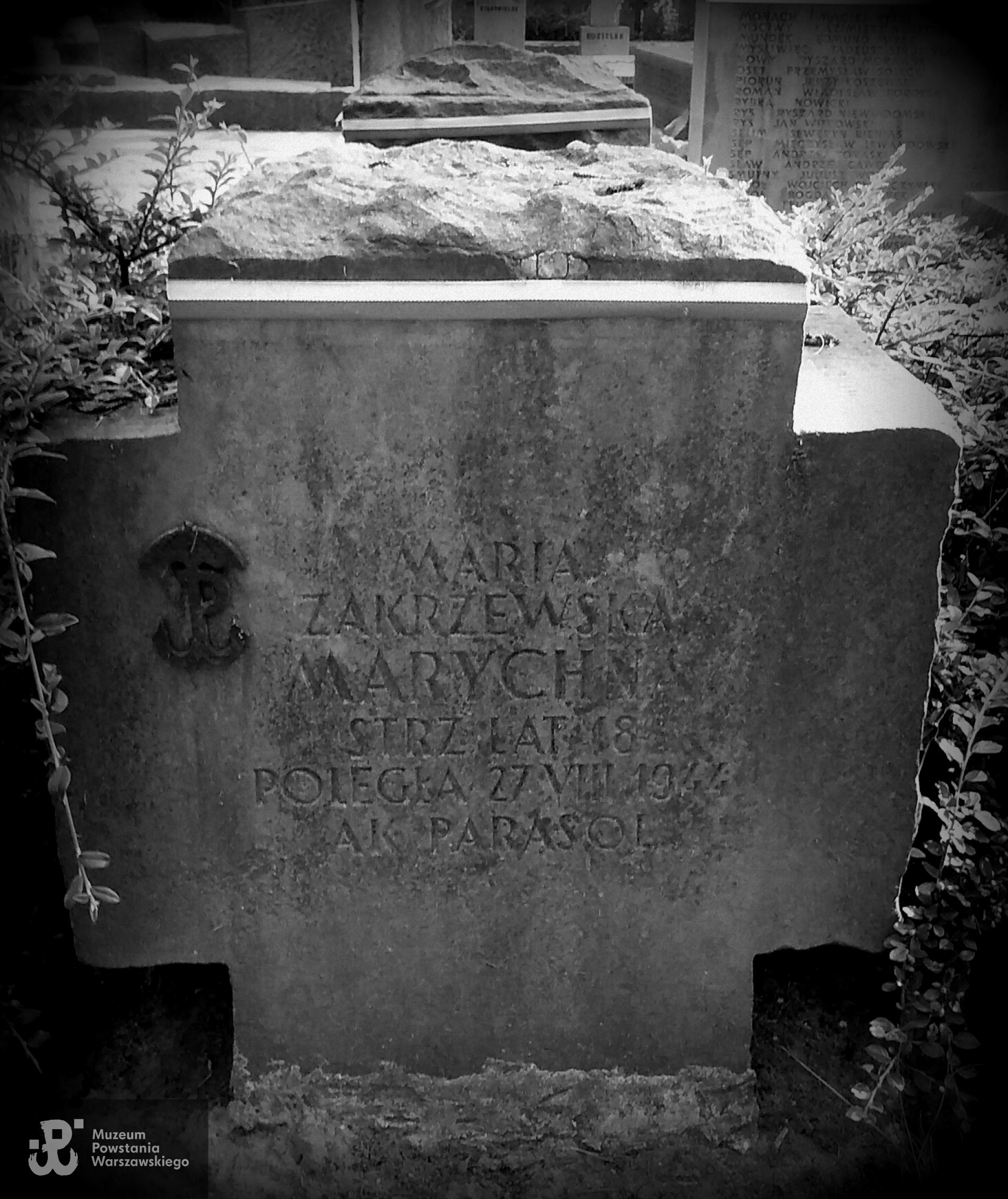 Cmentarz Wojskowy na Powązkach. Fot. udostępniła Magdalena Ciok.