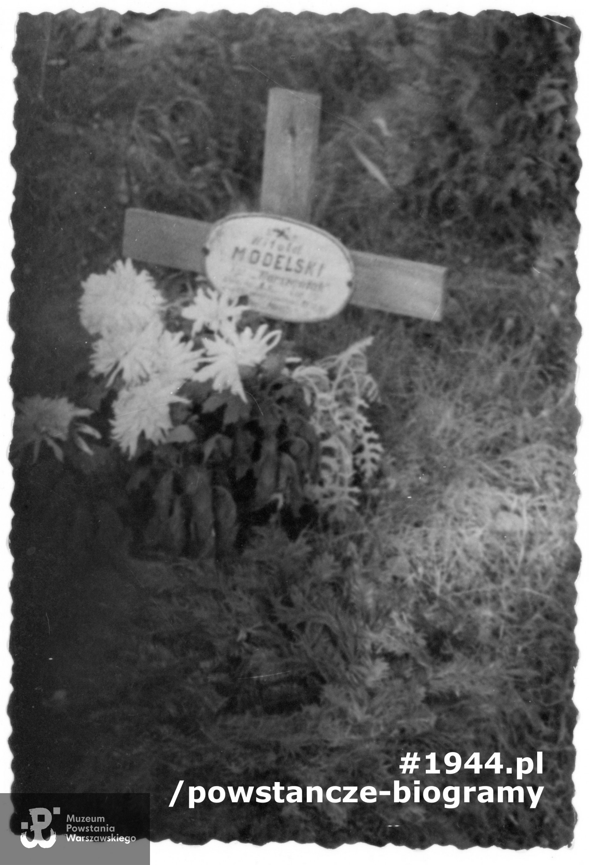 Pierwsza mogiła Witolda. Fotografia z archiwum rodzinnego Alicji Modelskiej