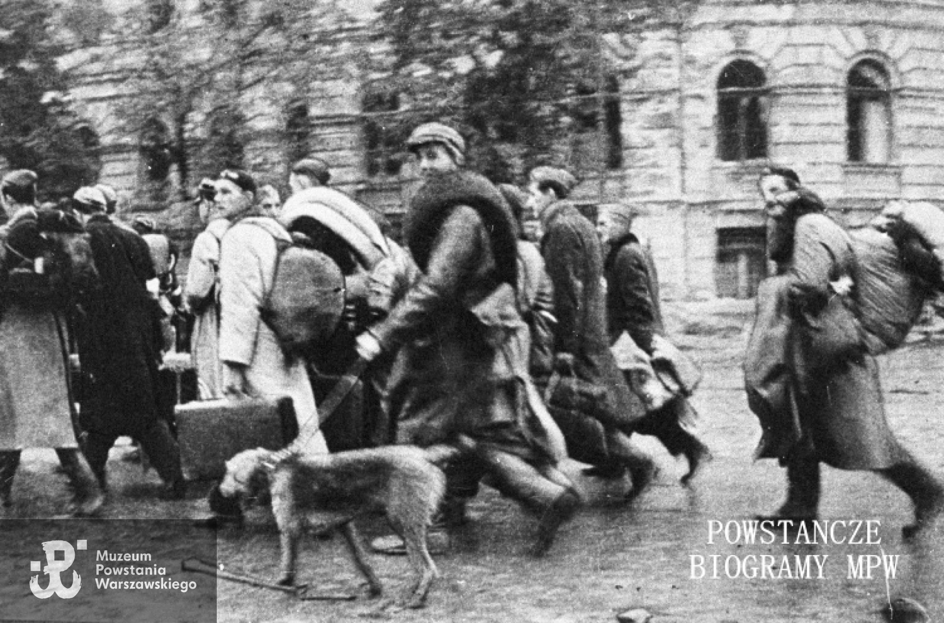 Fotografia autorstwa Tadeusza Bonclera:  Powstańcy wychodzący do niewoli ulicą 6 sierpnia obok budynku Politechniki. Ze zbiorów Muzeum Powstania Warszawskiego, sygn. MPW-IN/4507