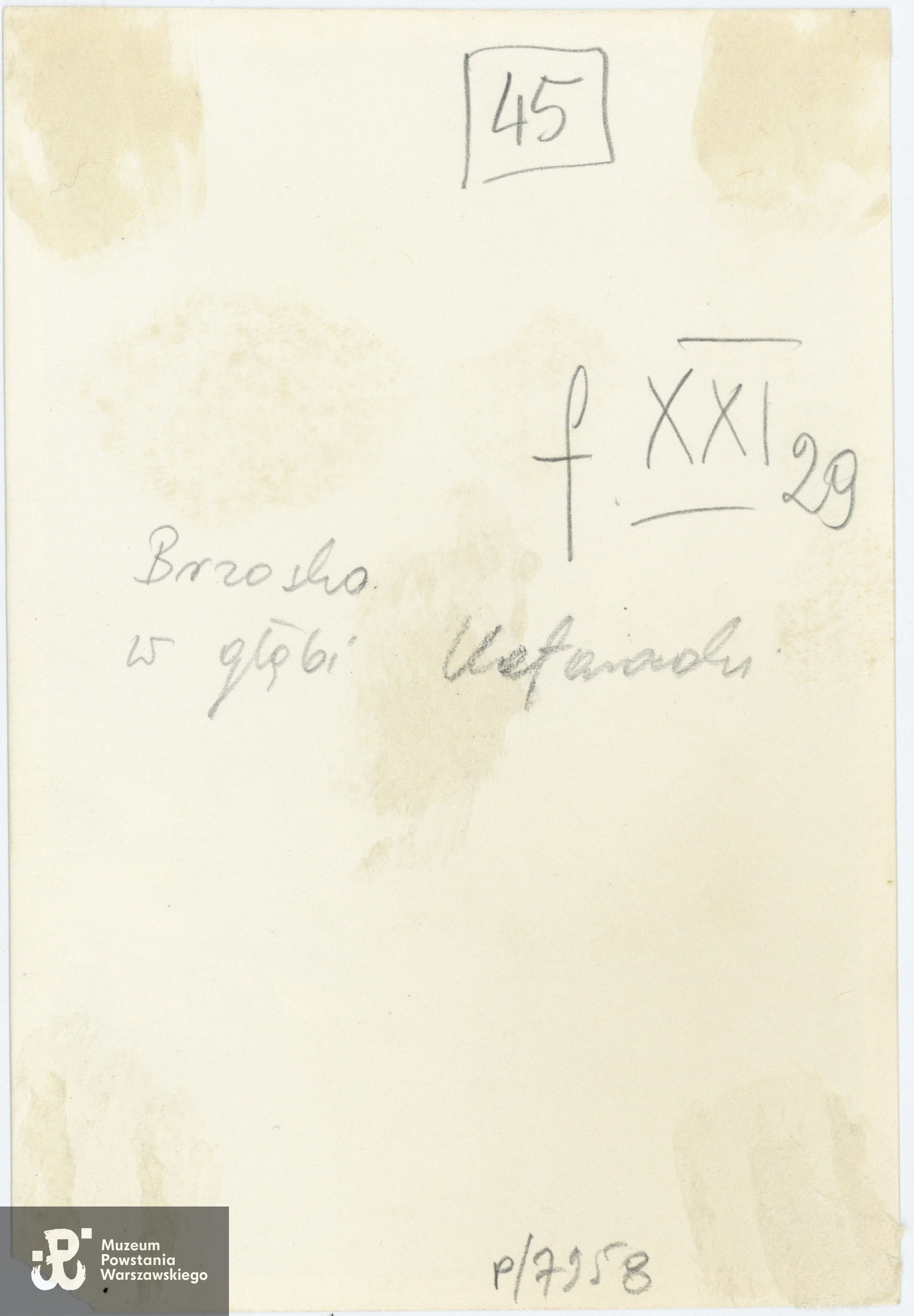 Fot. ze zbiorów Muzeum Powstania Warszawskiego, sygn. P/7958