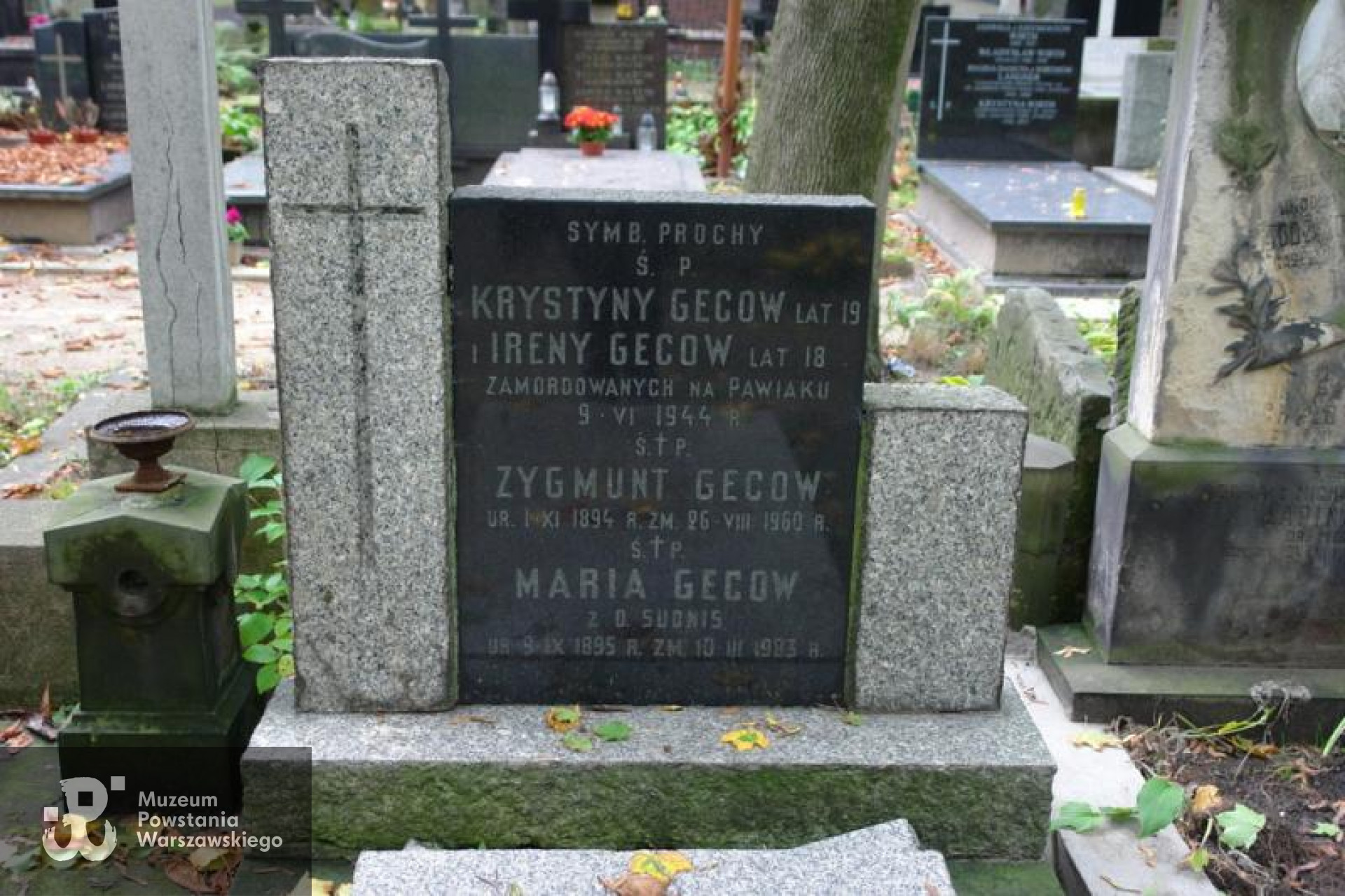 Cmentarz Powązkowski w Warszawie (Stare Powązki), kwatera  193, rząd 1, grób 12.