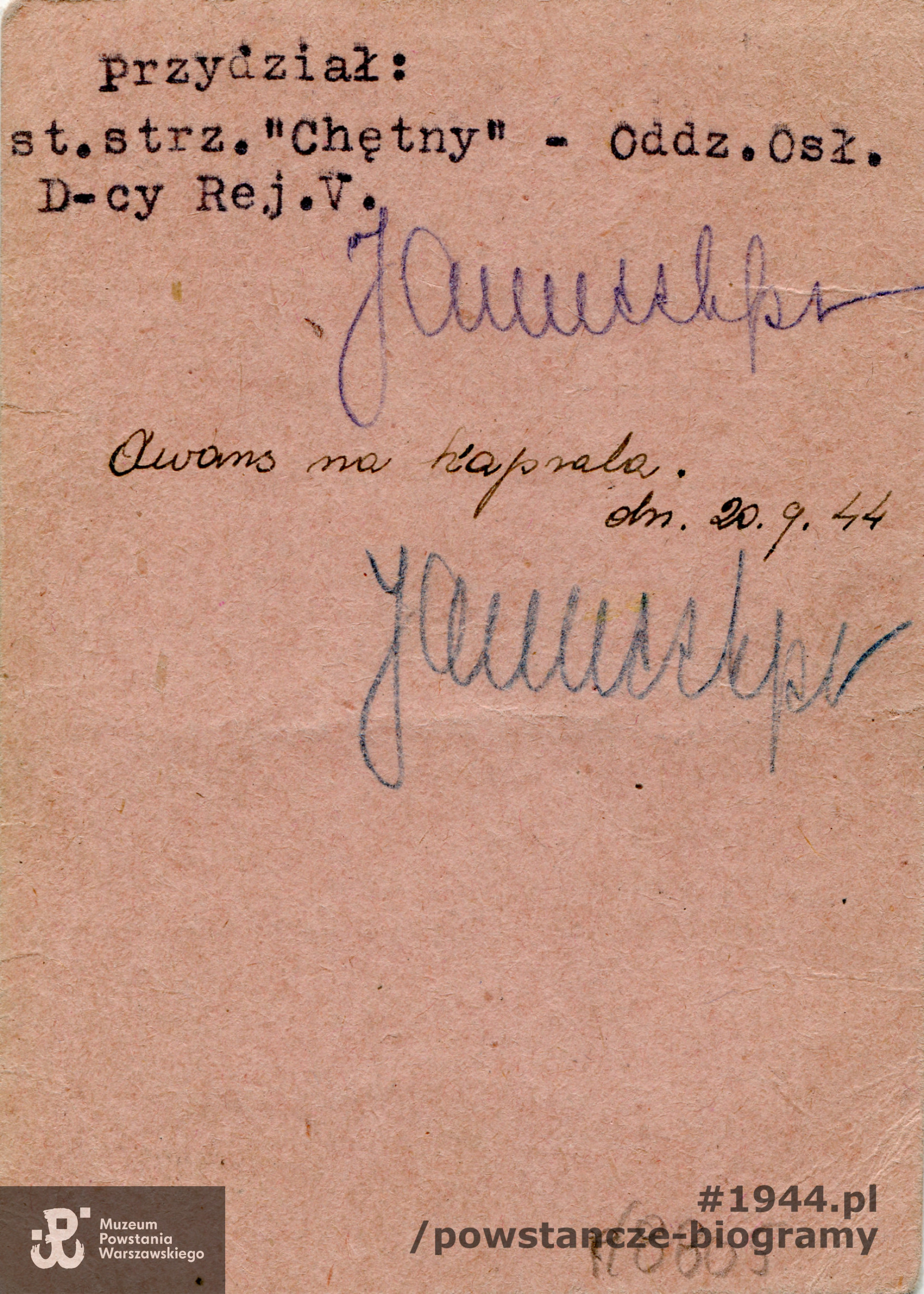 Należąca do kpr. Antoniego Saulewicza  legitymacja Armii Krajowej. Ze zbiorów Muzeum Powstania Warszawskiego, sygn. P/8805, dar Antoniego Saulewicza