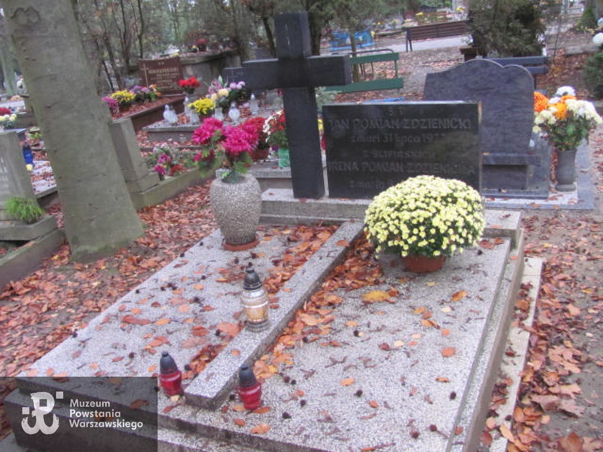 Źródło: https://opolepolwies.grobonet.com