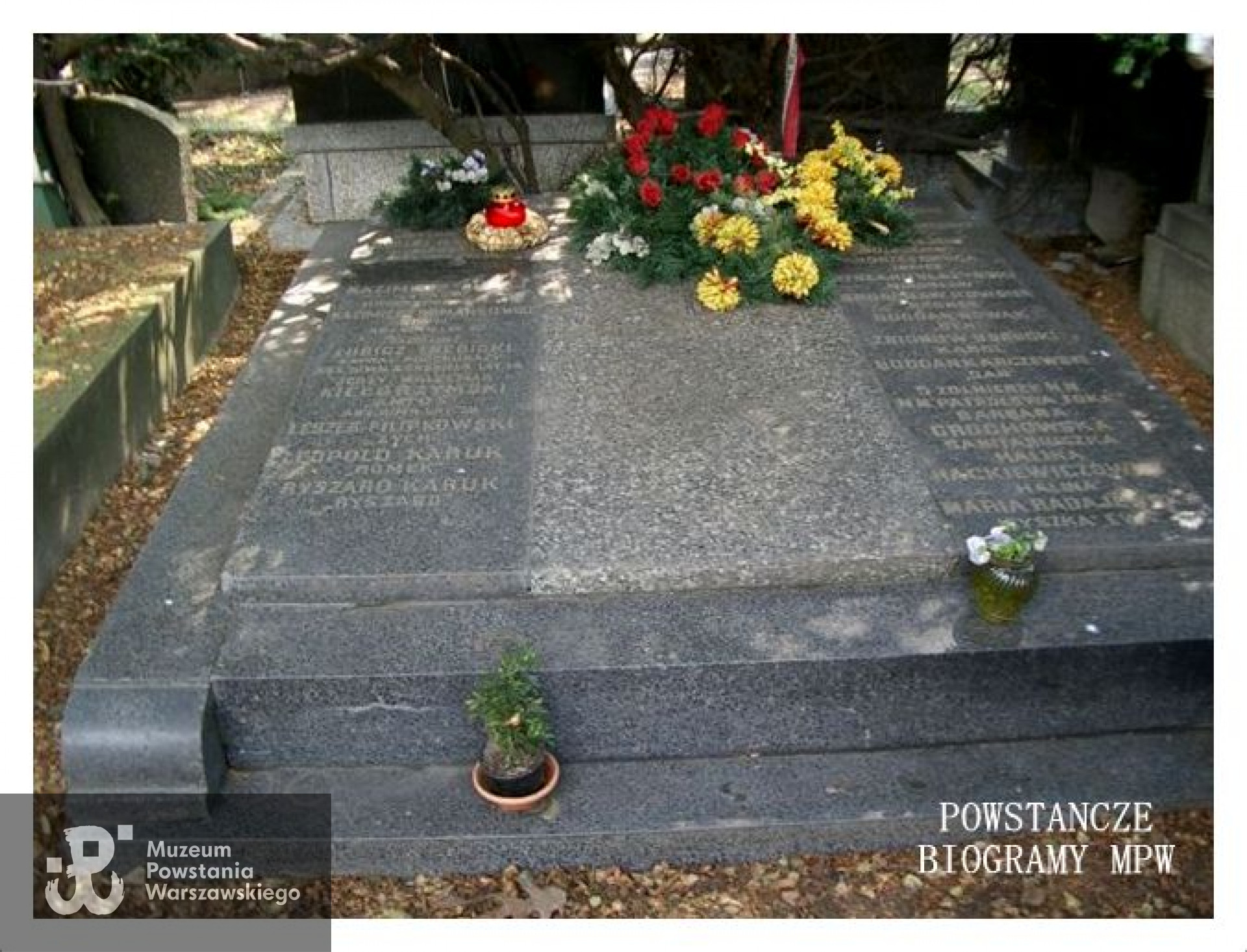 Mogiła zbiorowa żołnierzy 135. plutonu - Cmentarz Wojskowy na Powązkach. Fot. archiwum rodzinne