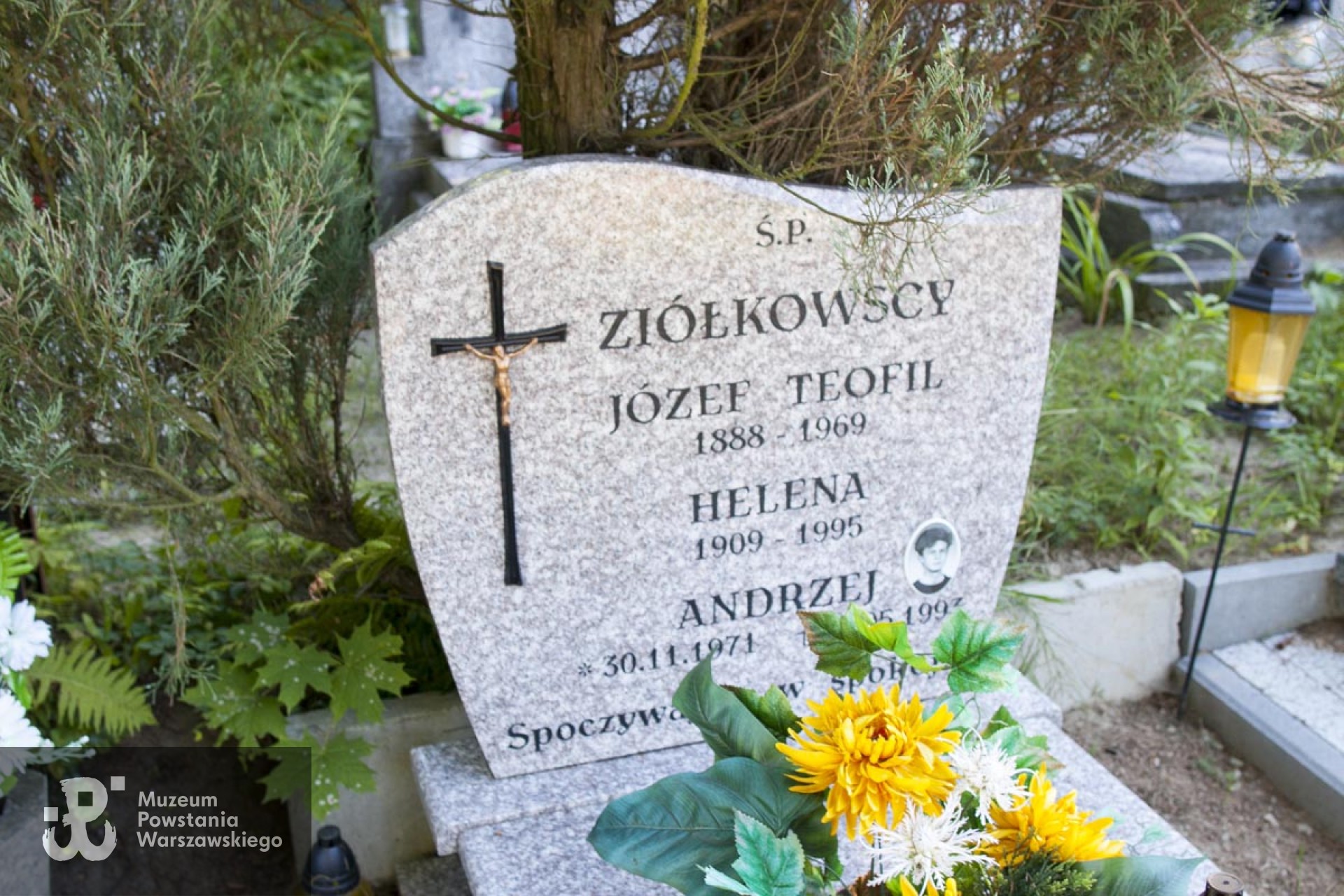 Cmentarz Komunalny przy ul. Poprzecznej - stan obecny. Źr. https://msipmo.olsztyn.eu