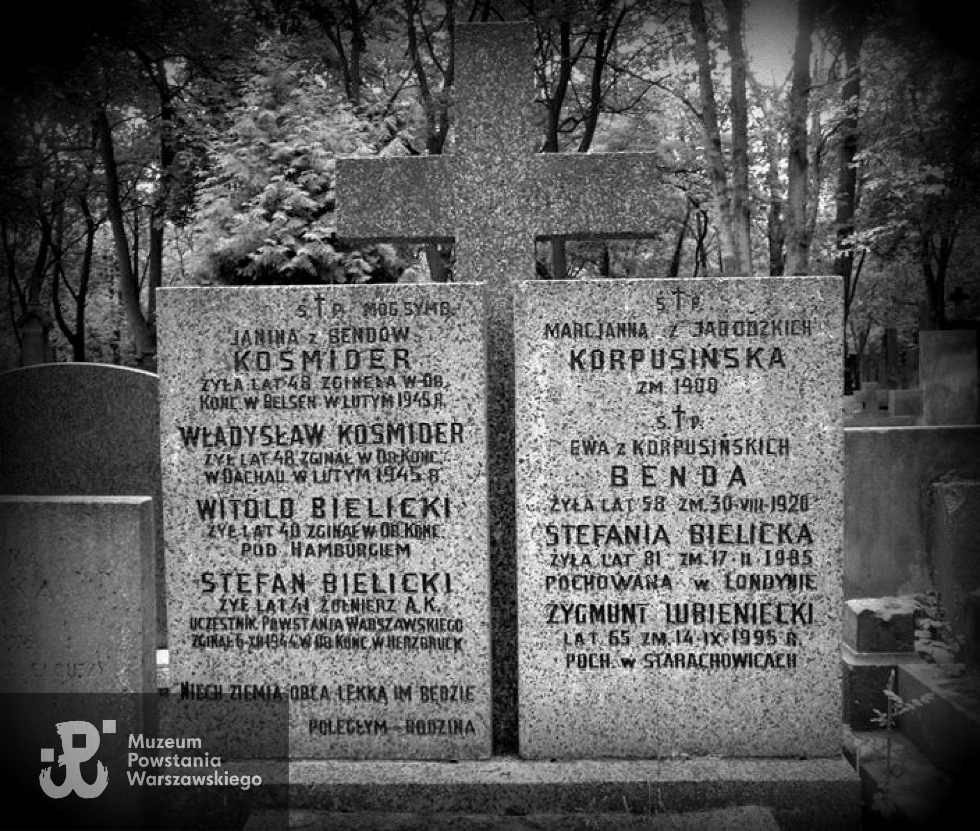 Mogiła symboliczna na Cmentarzu Powązkowskim w Warszawie, kwatera  264, rząd 2, miejsce 8. Fot. udostępnił p. Janusz Bielicki