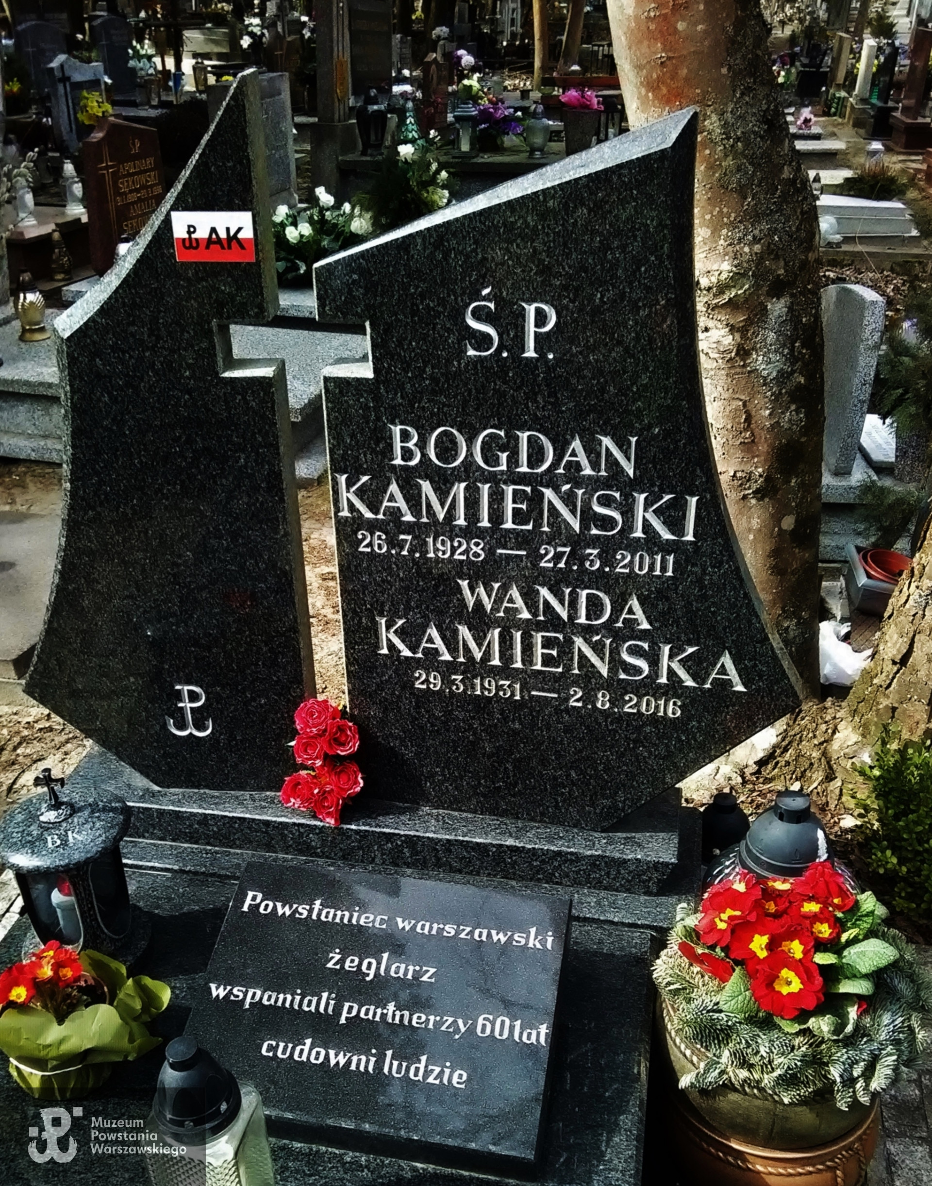 Cmentarz Witomiński w Gdyni, fot. p. Regina Grandowicz