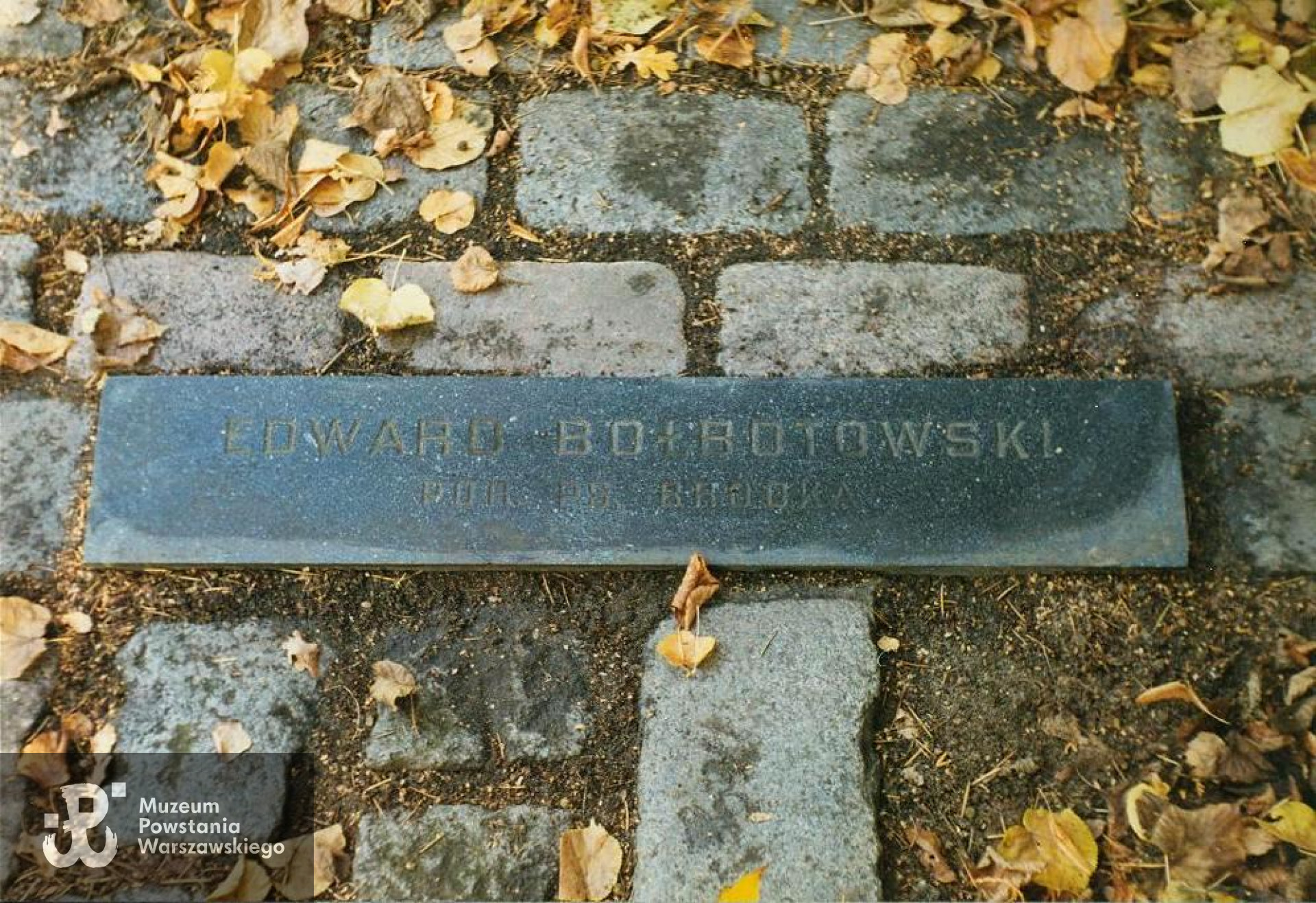 Fot.  materiały do Słownika Uczestników PW - Powązki Wojskowe - A. Dławichowski