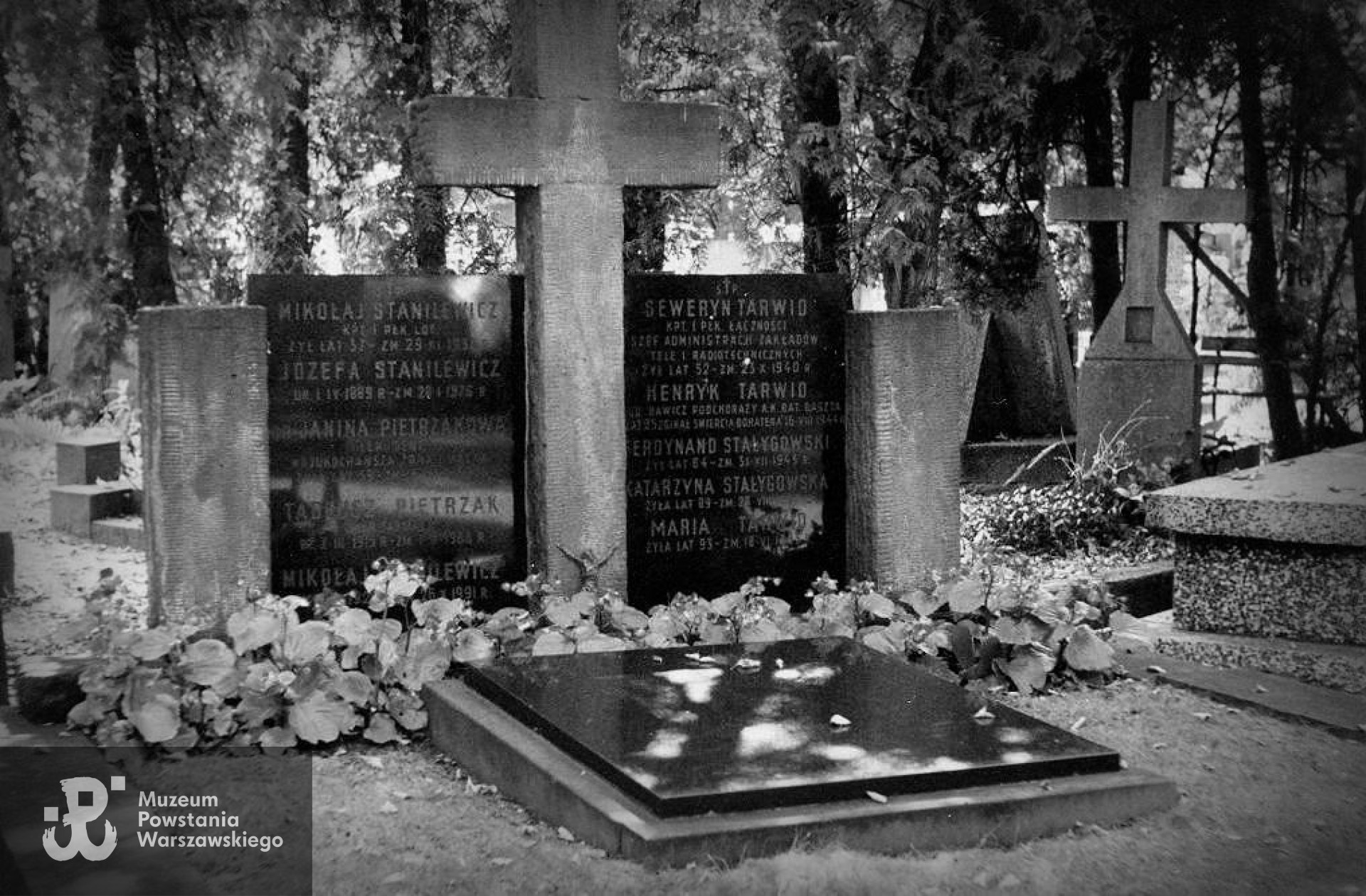 Powązki Wojskowe. Fot. A. Dławichowski