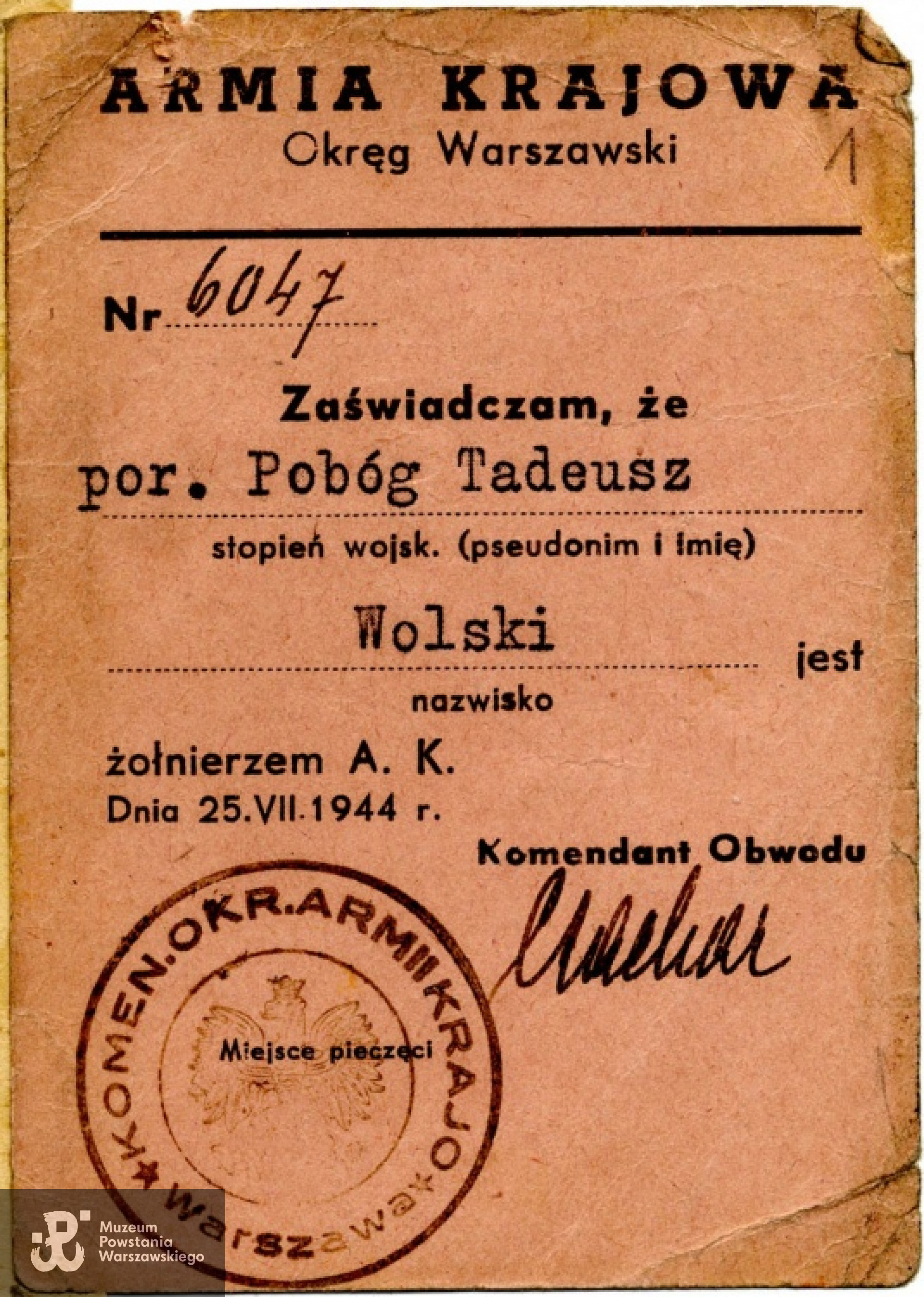 Ze zbiorów Archiwum Akt Nowych