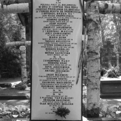 Cmentarz Wojskowy na Powązkach, kwatera żołnierzy batalionu 