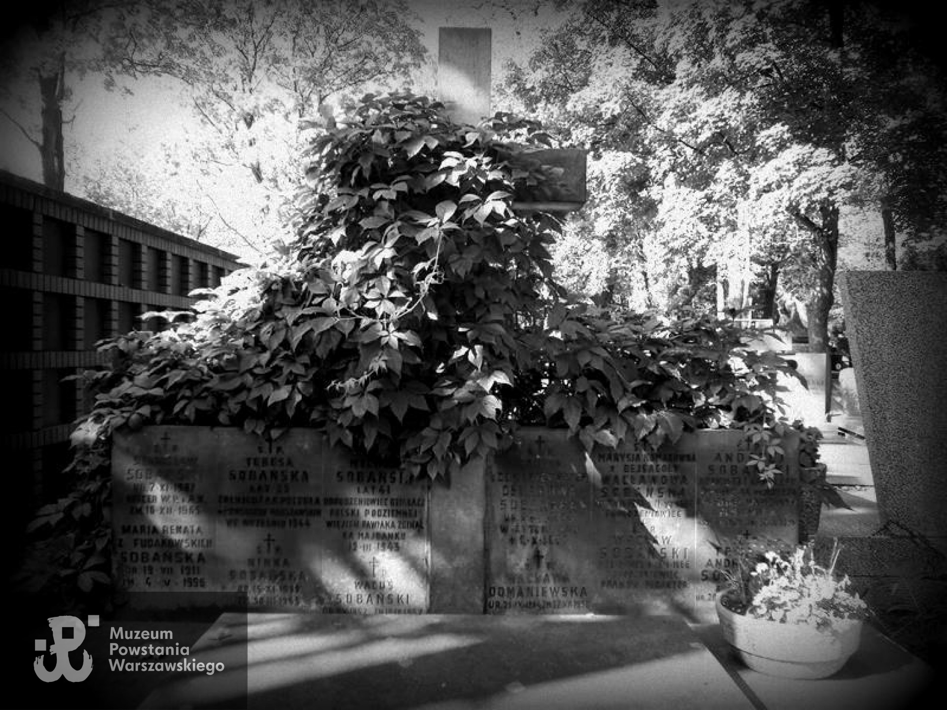 Fot. Warszawskie Zabytkowe Pomniki Nagrobne - <i>cmentarze.um.warszawa.pl</i>