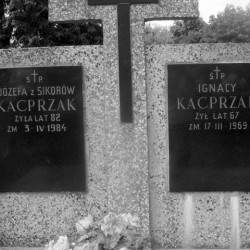 Cmentarz w  Jeziórce koło Grójca. Źródło: www.jeziorka.artlookgallery.com/grobonet