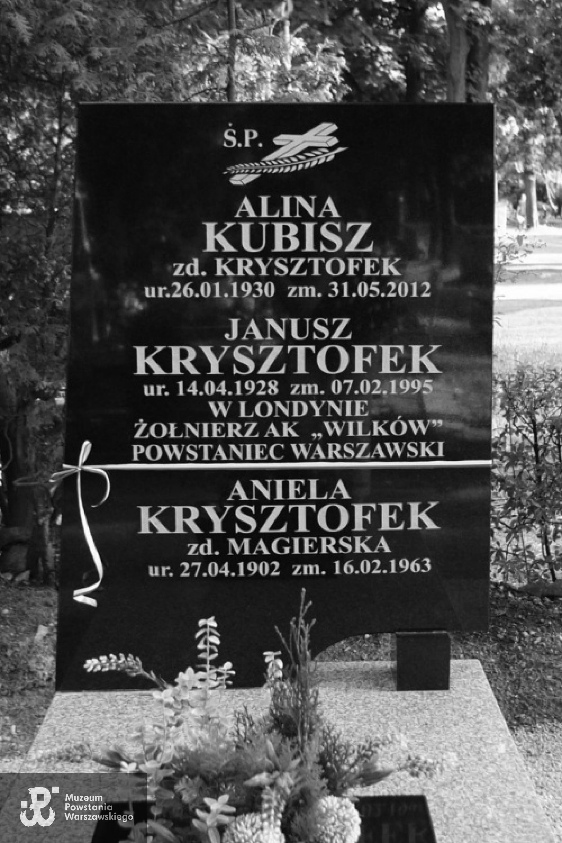 Płyta nagrobna na grobie rodzinnym z upamiętnionym Januszem Krysztofkiem. Ze zbiorów Doroty Kubisz - Butyńskiej