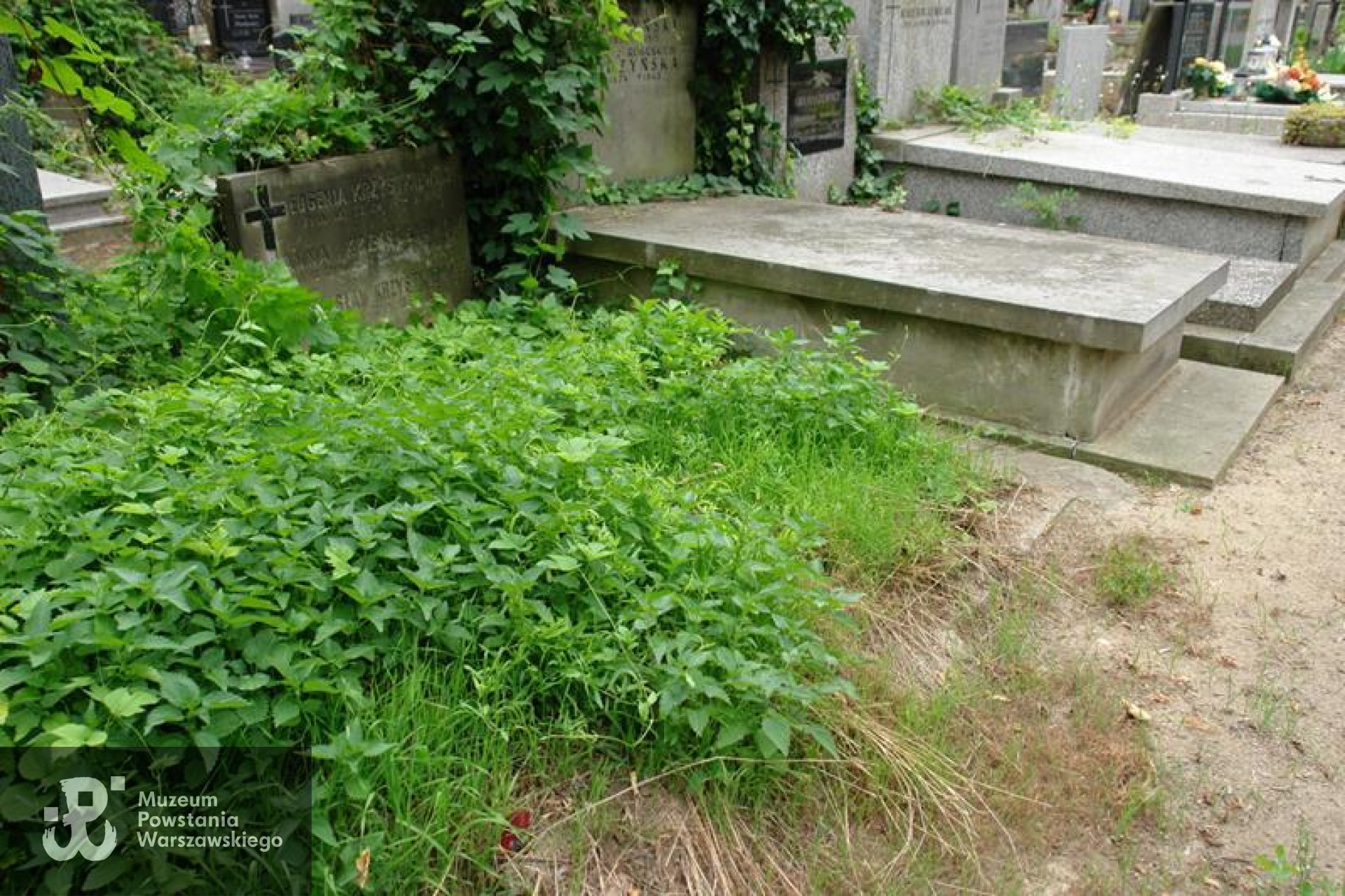 Fot. Warszawskie Zabytkowe Pomniki Nagrobne:  <i>cmentarze.um.warszawa.pl</i>