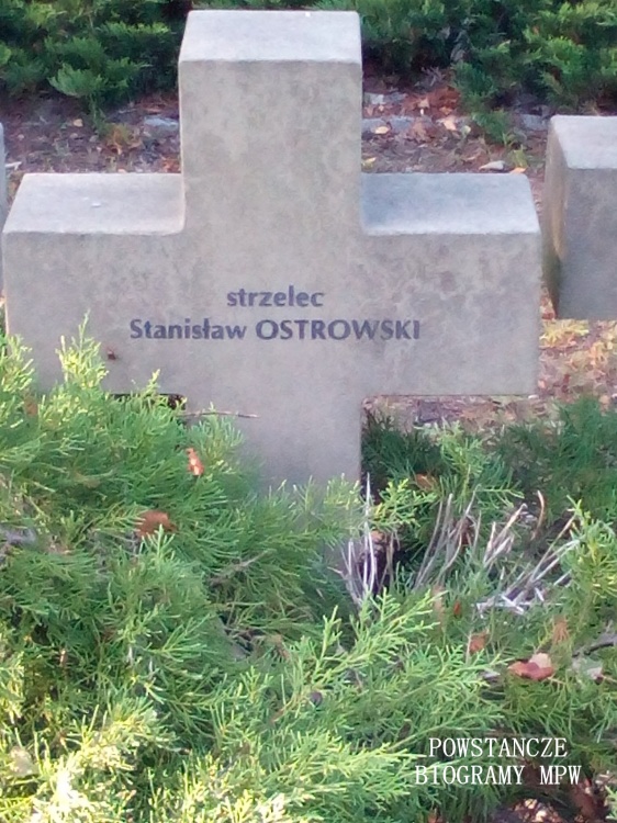 Mogiła na Cmentarzu Wojennym w Budach Zosinych. Fot. Mariusz Skroński