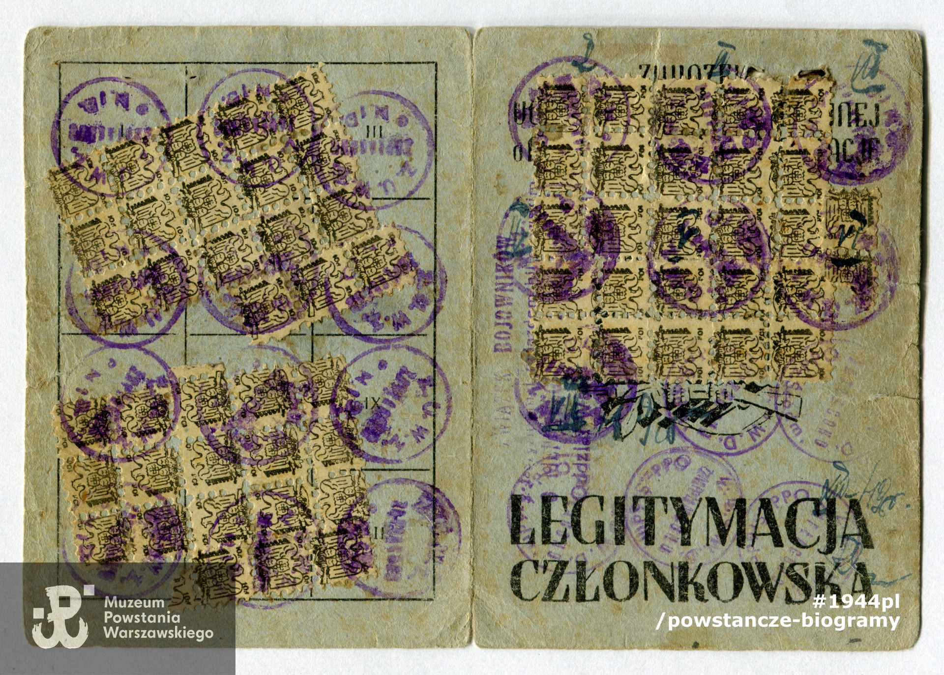 Powojenna legitymacja członkowska ZBoWiD należąca do Marka Łypaczewskiego ps. Jacek. Ze zbiorów prywatnych przez p. Marka Sznage, wnuka Zbigniewa Sznage ps. Rozmaryn